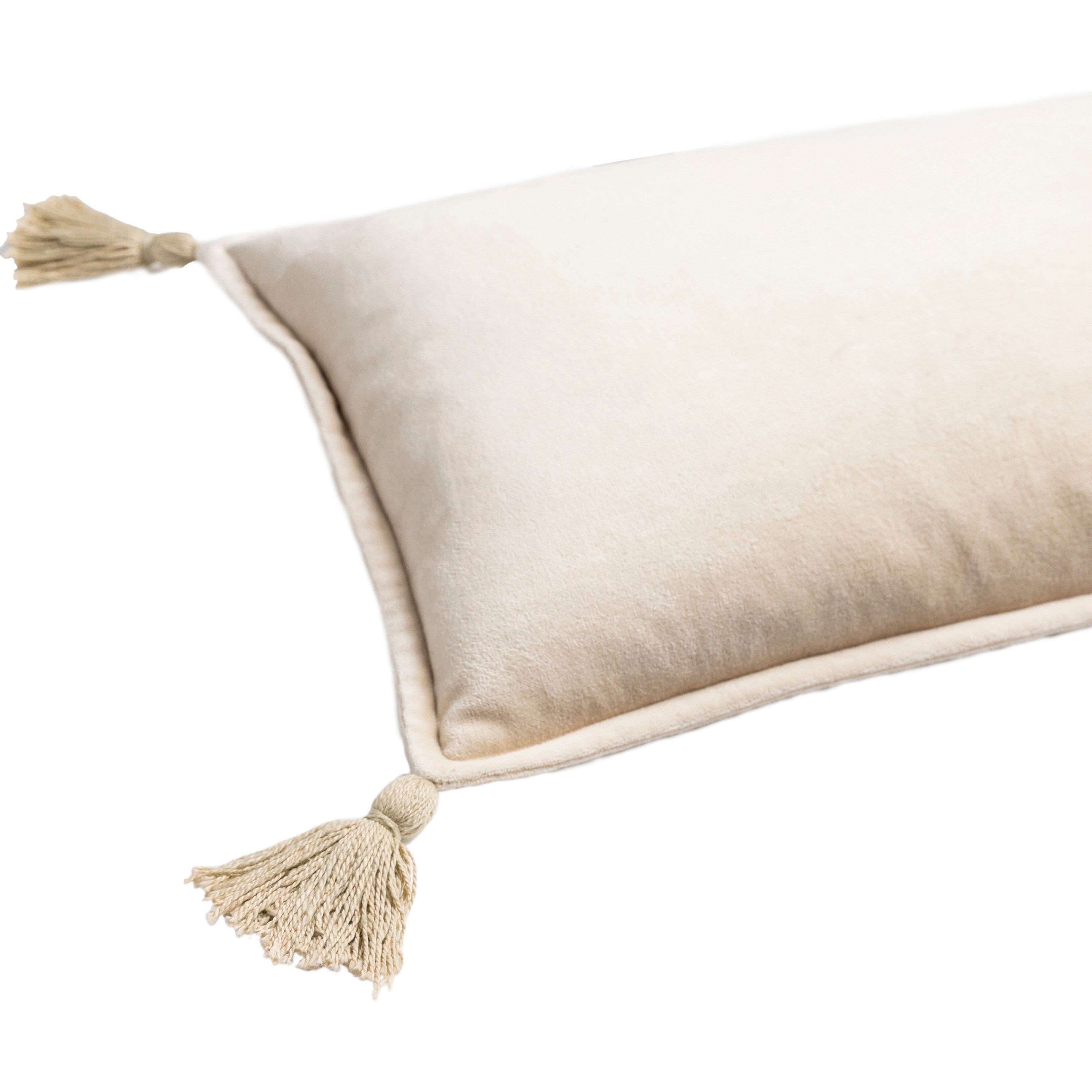 Cassain Velvet Lumbar Pillow with Tassels