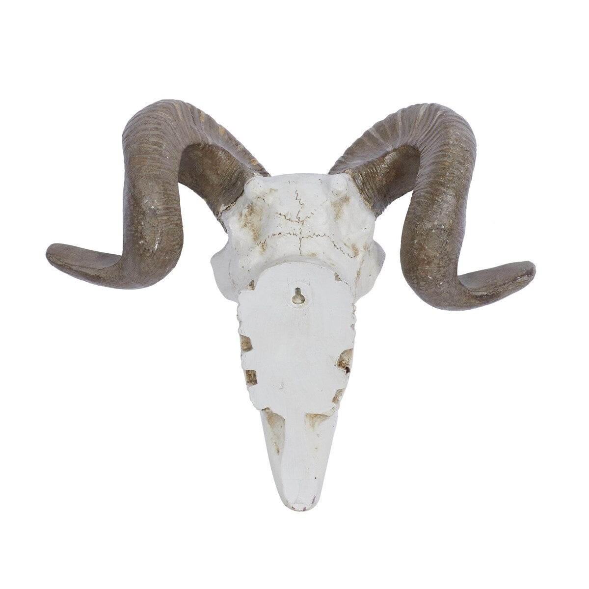 Polystone Sheep Skull Home Wall Decor - White - Roche River Decor