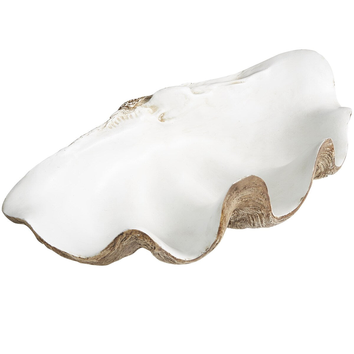 Polystone Shell Decorative Decorative Bowl - White - Roche River Decor