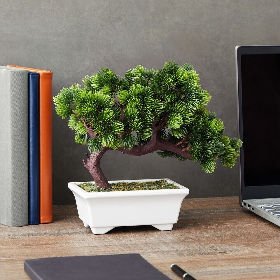 Artificial Pine Bonsai Tree