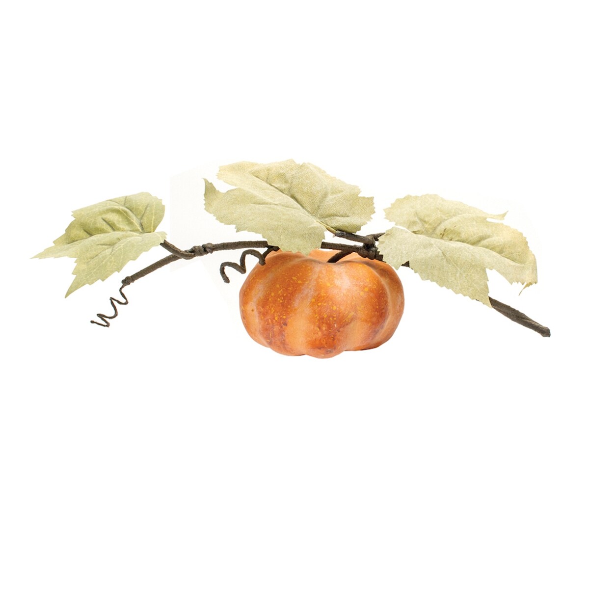 Fall Pumpkin Vine (Set of 2)