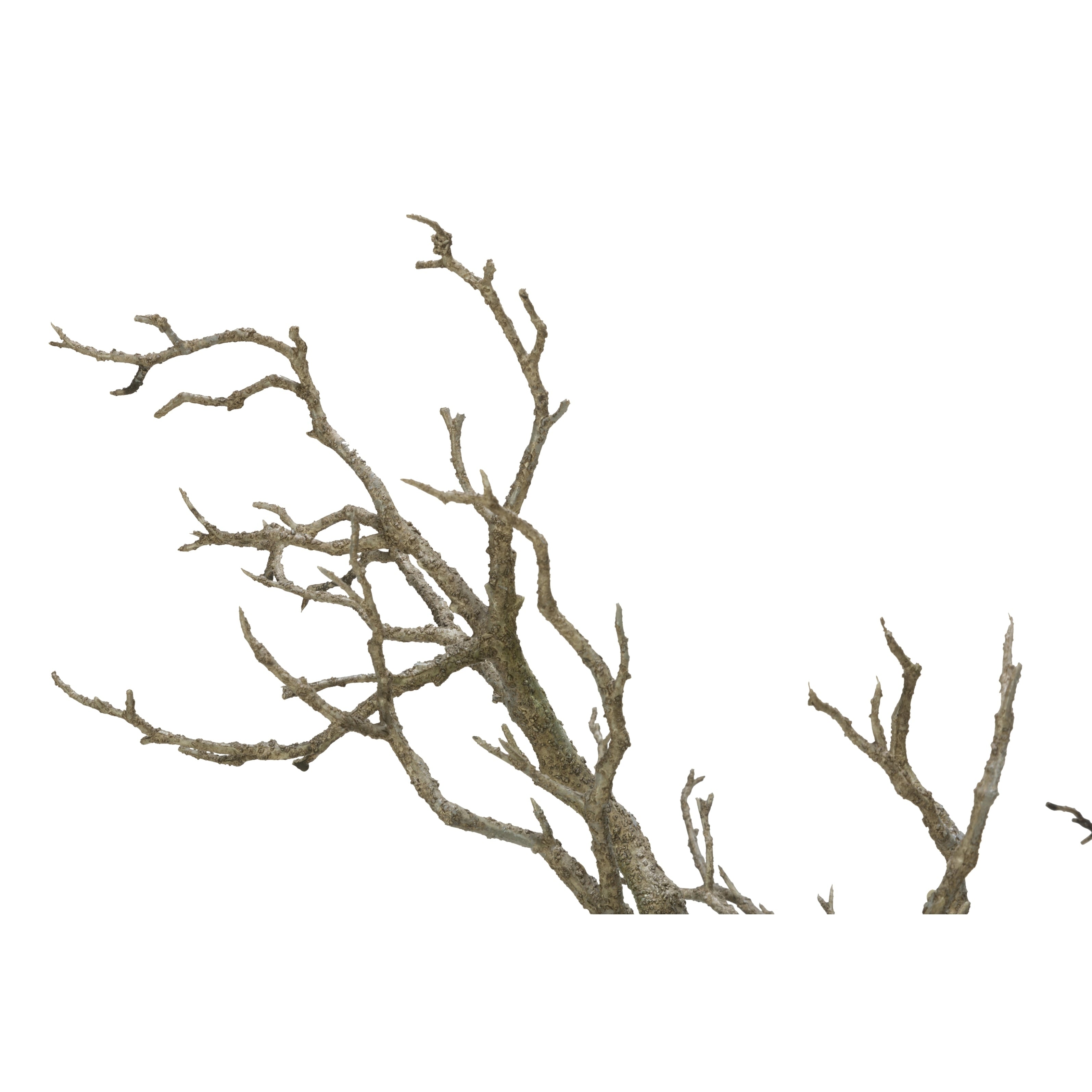 72 Twig Deadwood Tree - Brown/Grey or Cream/White