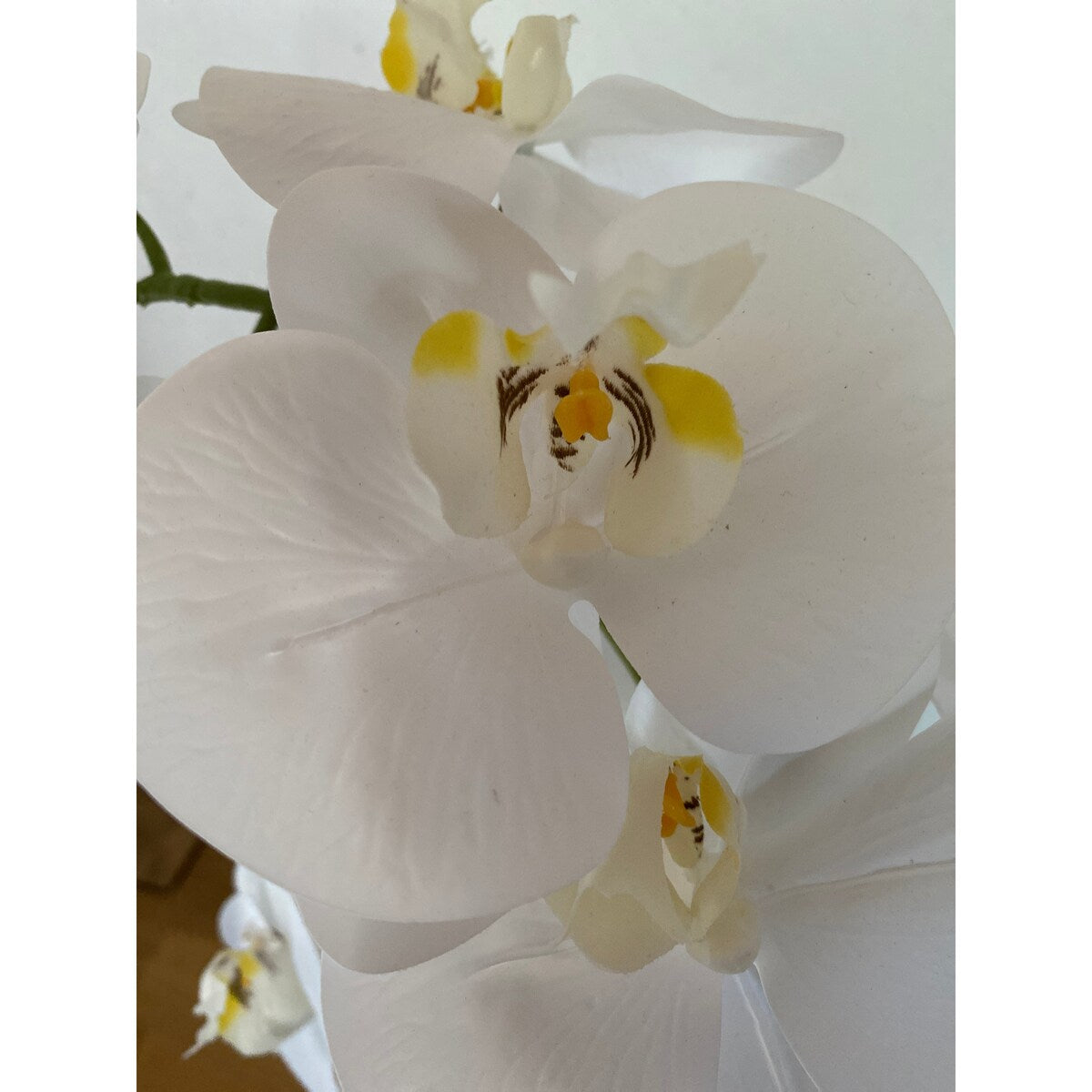 Artificial Orchid Phalaenopsis Plant Including Metallic Vase, 24