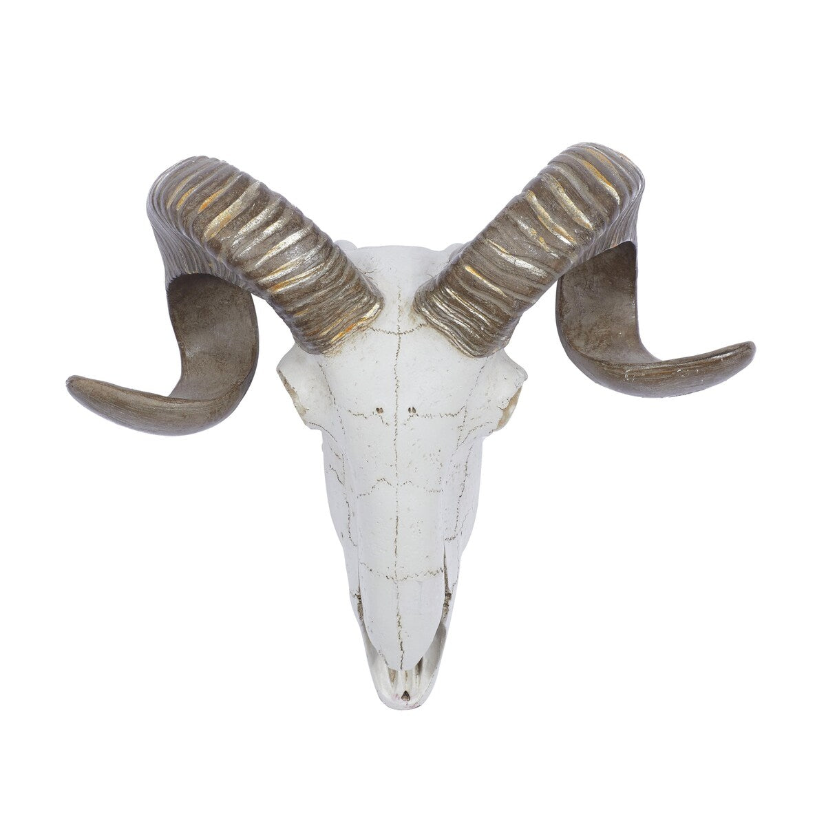 Polystone Sheep Skull Home Wall Decor - White - Roche River Decor