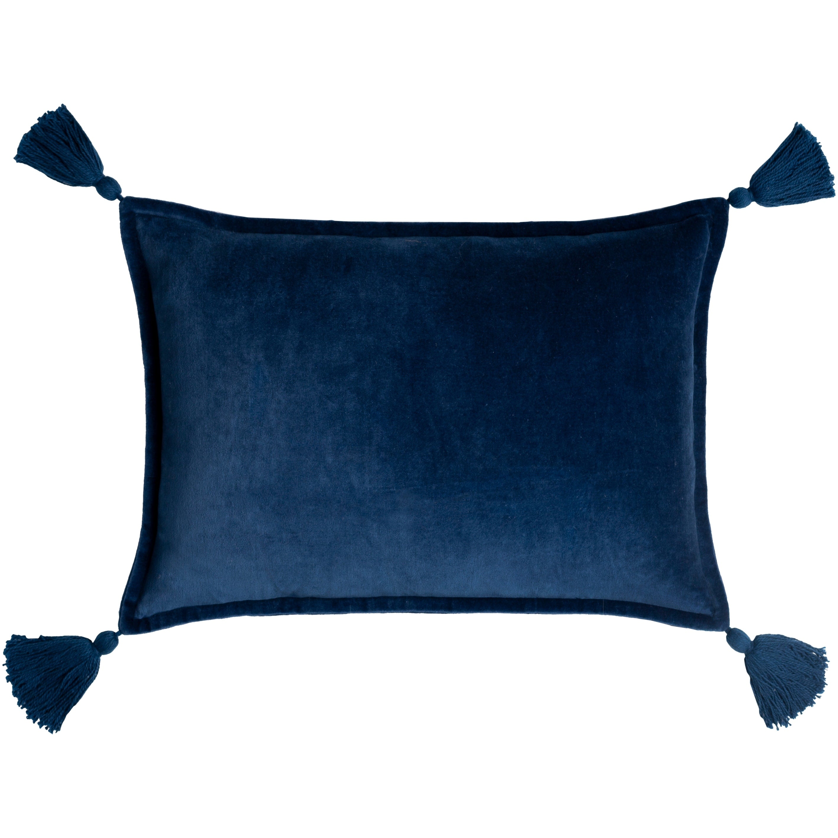 Cassain Velvet Lumbar Pillow with Tassels