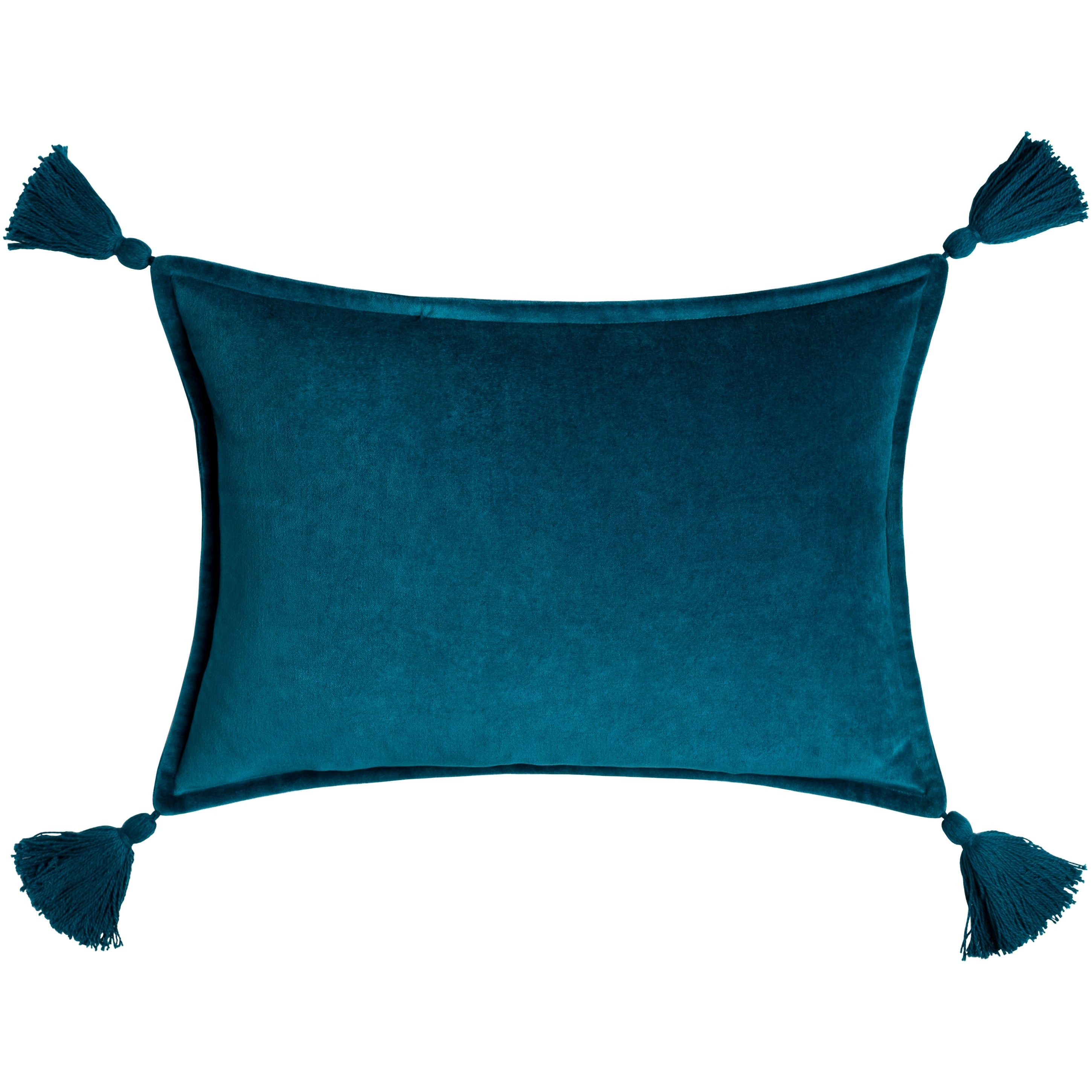 Cassain Velvet Lumbar Pillow with Tassels