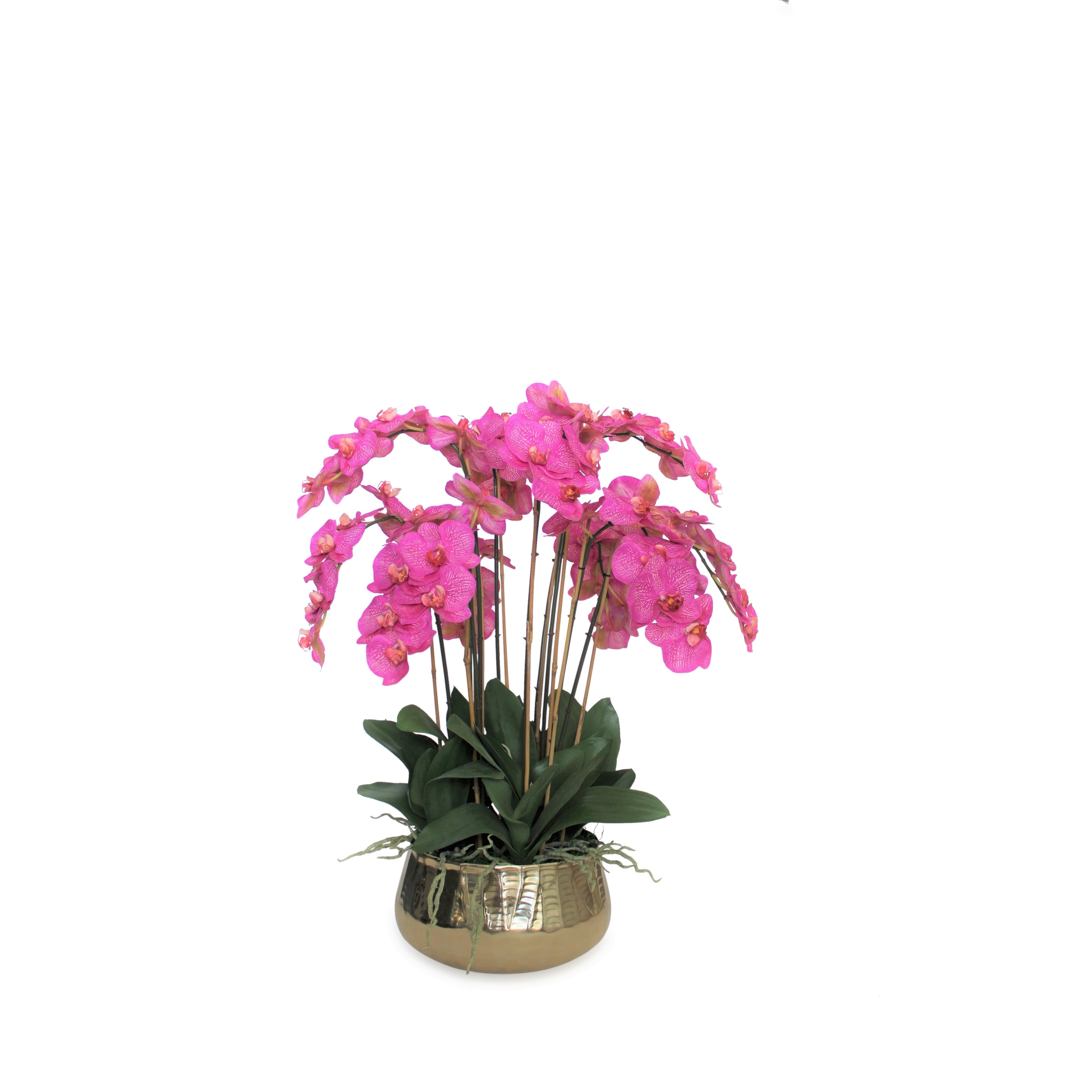 Phalaenopsis Orchids Floral Arrangement in Gold Planter