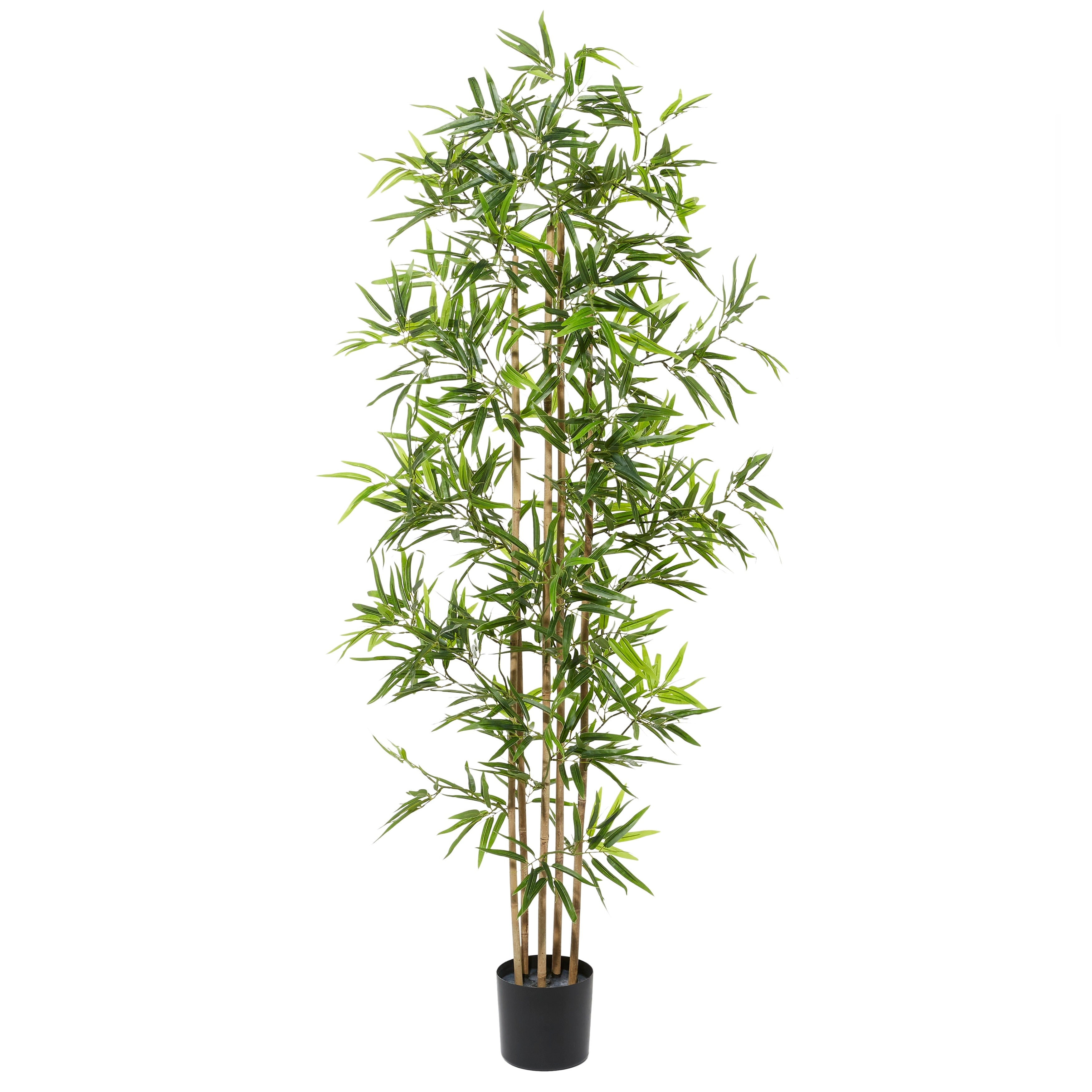 Faux Foliage Bamboo Artificial Tree with Realistic Leaves and Black Plastic Pot - Green - Roche River Decor - 32W x 34L x 72H