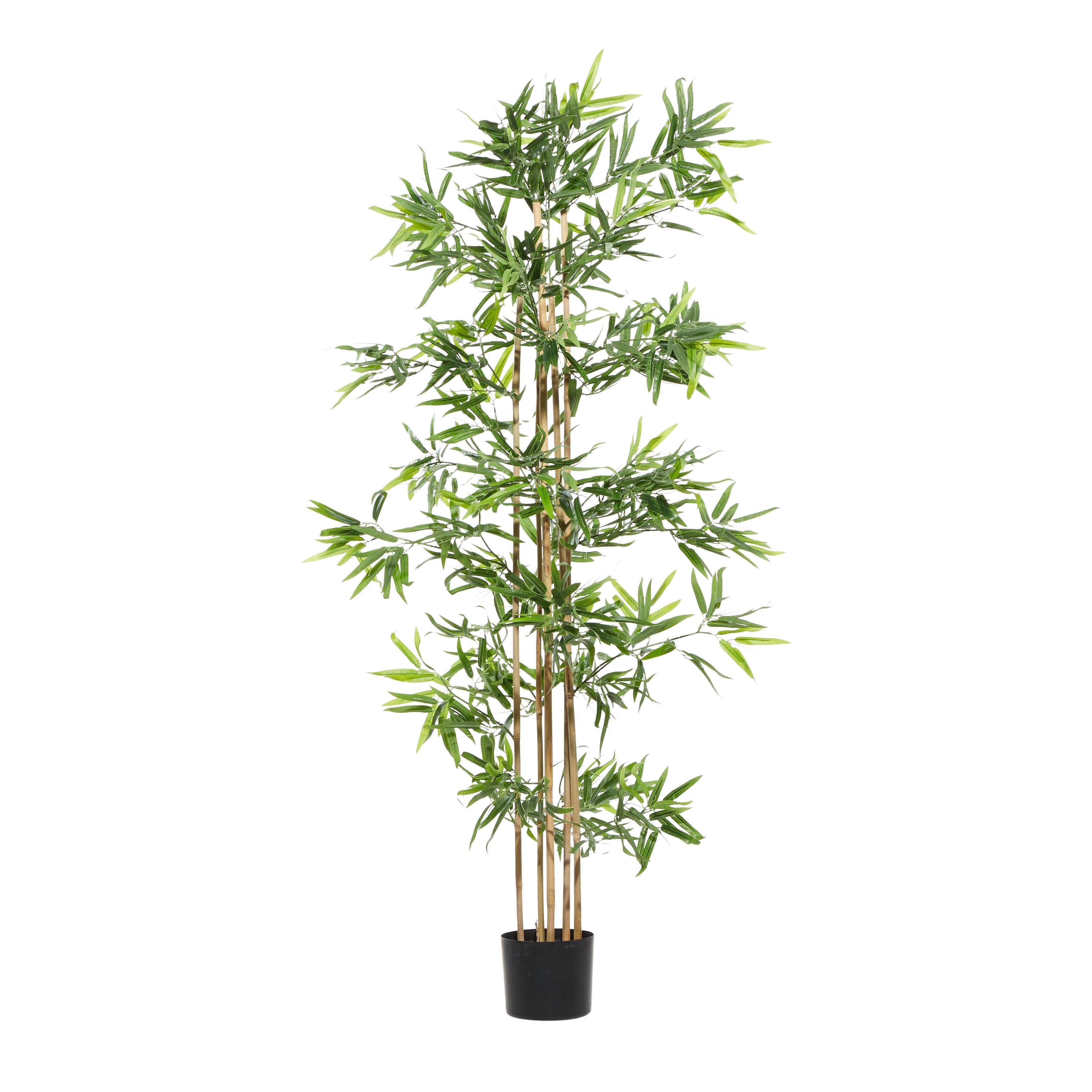 Faux Foliage Bamboo Artificial Tree with Realistic Leaves and Black Plastic Pot - Green - Roche River Decor - 32W x 34L x 72H