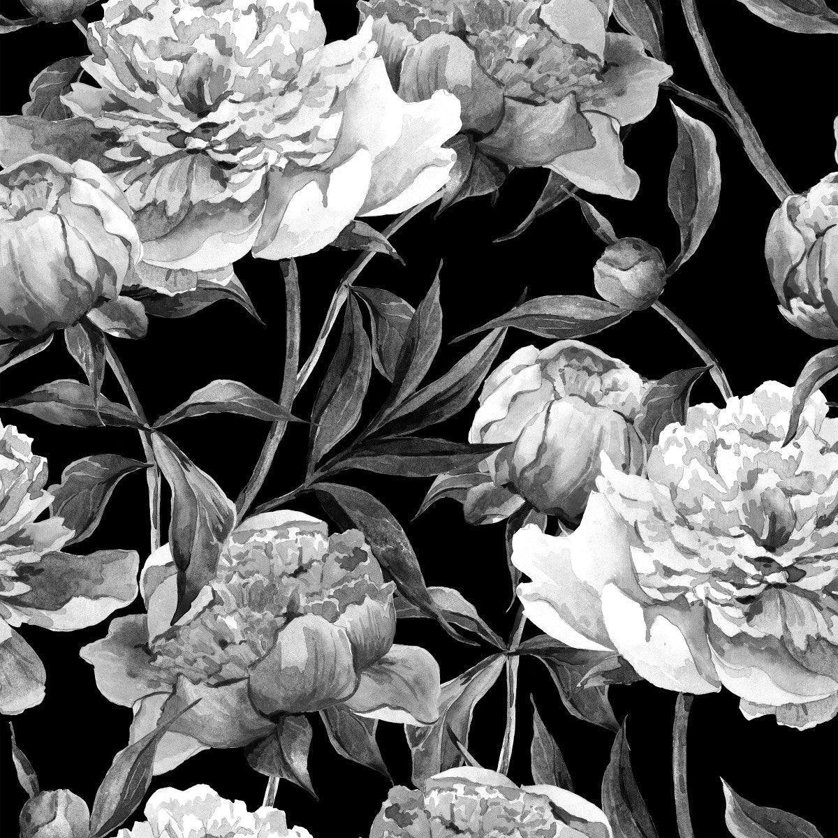 Black and White Peonies Wallpaper Peel and Stick and Prepasted