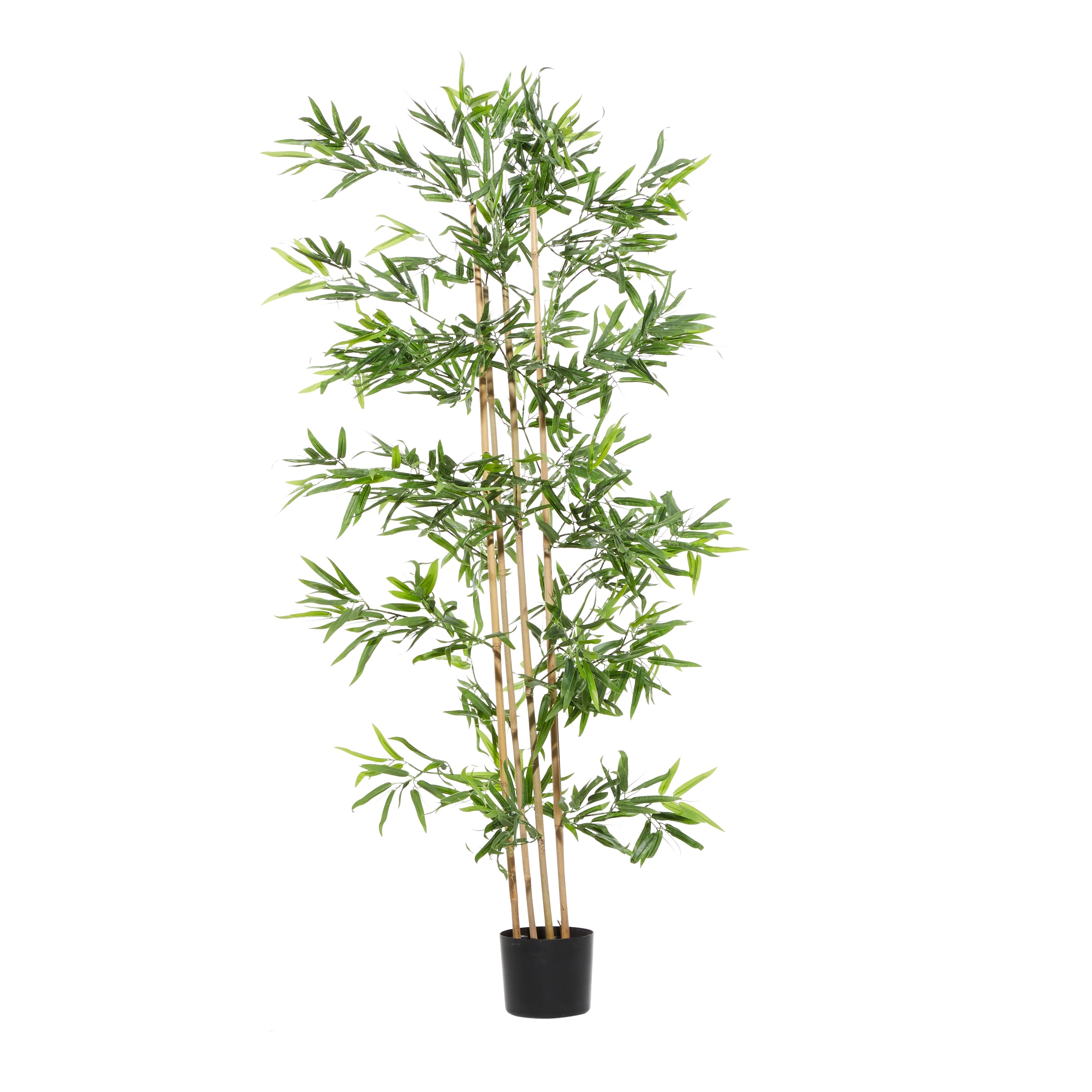 Faux Foliage Bamboo Artificial Tree with Realistic Leaves and Black Plastic Pot - Green - Roche River Decor - 32W x 34L x 72H