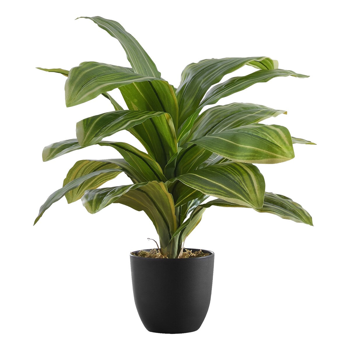 Artificial Plant, 17 Tall, Dracaena, Indoor, Faux, Fake, Table, Greenery, Potted, Real Touch, Decorative, Green Leaves