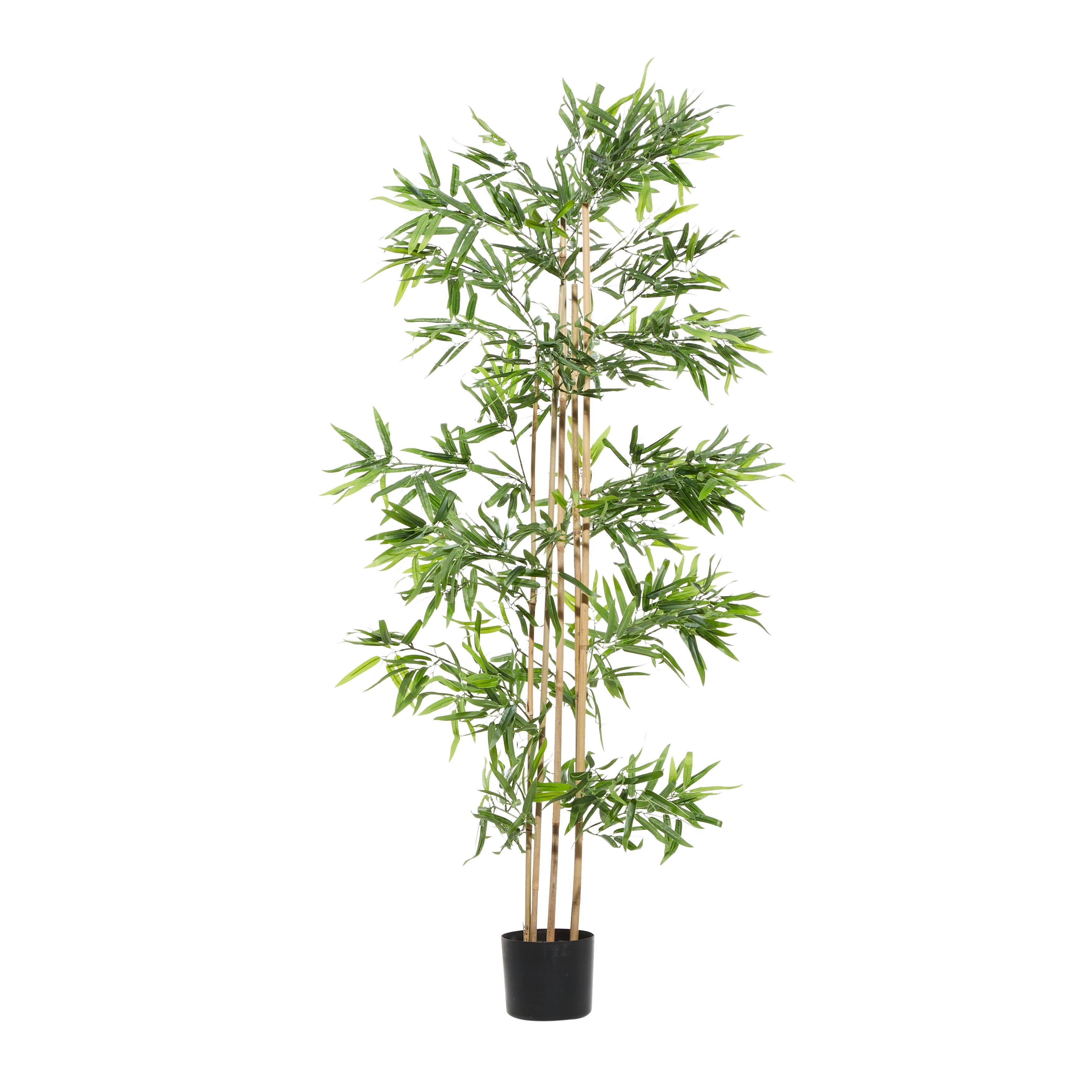 Faux Foliage Bamboo Artificial Tree with Realistic Leaves and Black Plastic Pot - Green - Roche River Decor - 32W x 34L x 72H