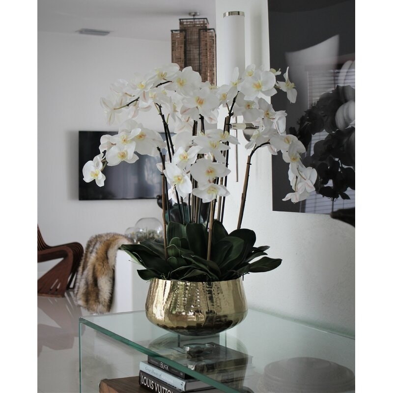 Phalaenopsis Orchids Floral Arrangement in Gold Planter