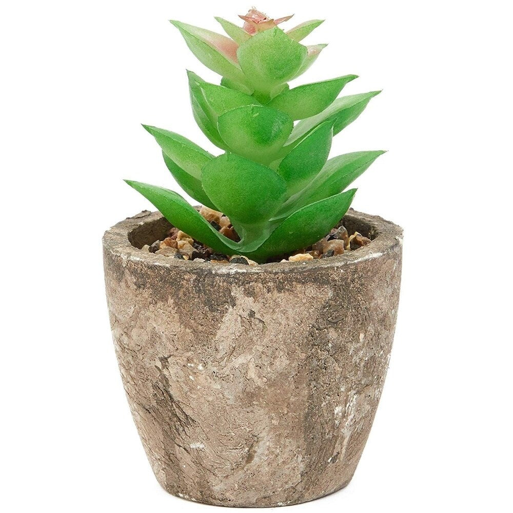 6 Pack Artificial Succulents, 2.7 to 4 inches Green and Red Cactus Plants with Gray Pots - 2.7 to 4 inches