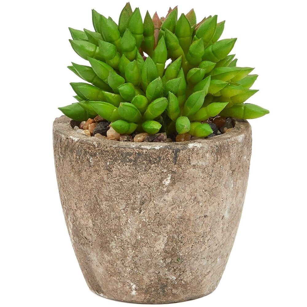 6 Pack Artificial Succulents, 2.7 to 4 inches Green and Red Cactus Plants with Gray Pots - 2.7 to 4 inches