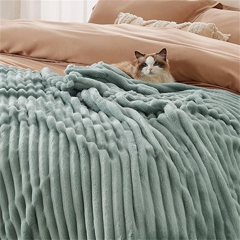 Blanket for Couch