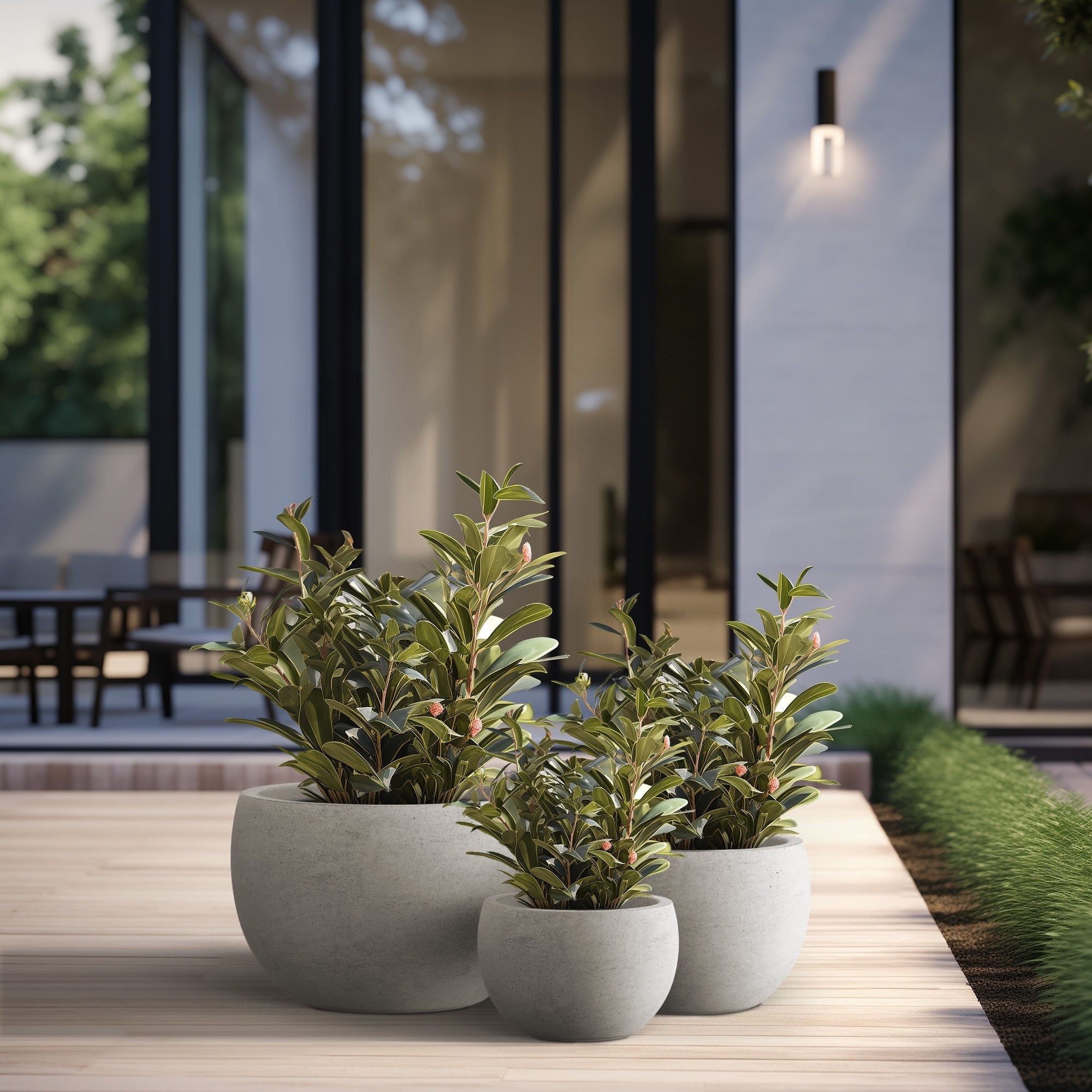 Tall Concrete Round Plant Pots / Large Indoor and Outdoor flower Planters