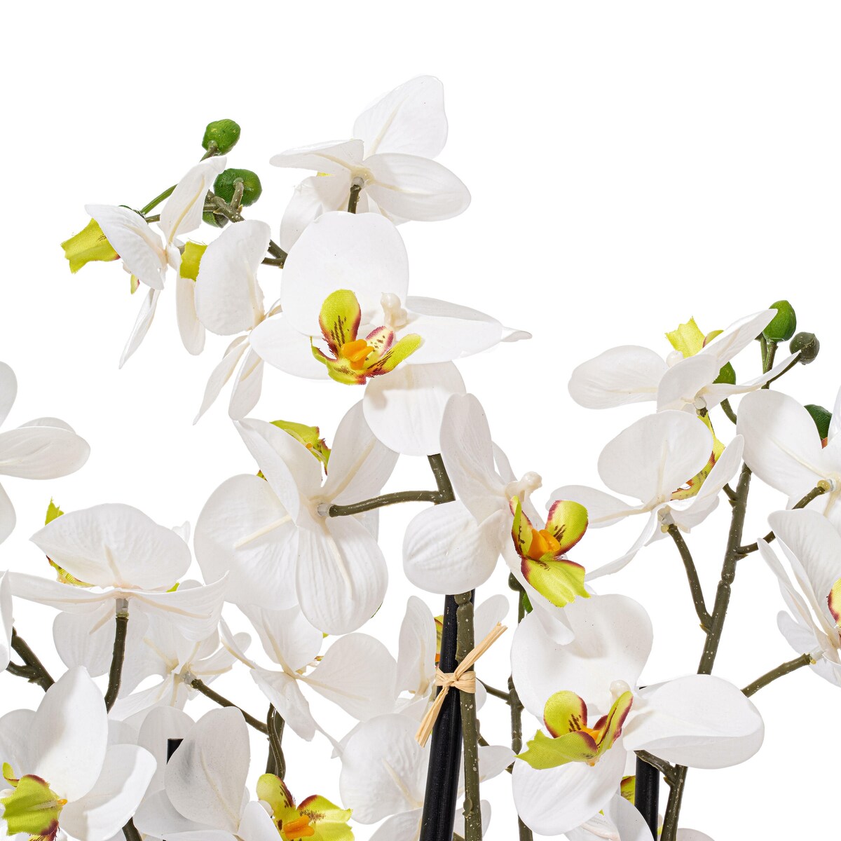 Vickerman 21 White Orchid Floral Arrangement