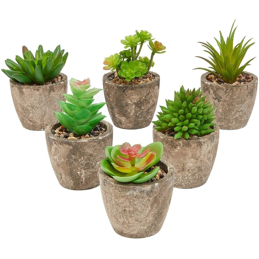 6 Pack Artificial Succulents, 2.7 to 4 inches Green and Red Cactus Plants with Gray Pots - 2.7 to 4 inches