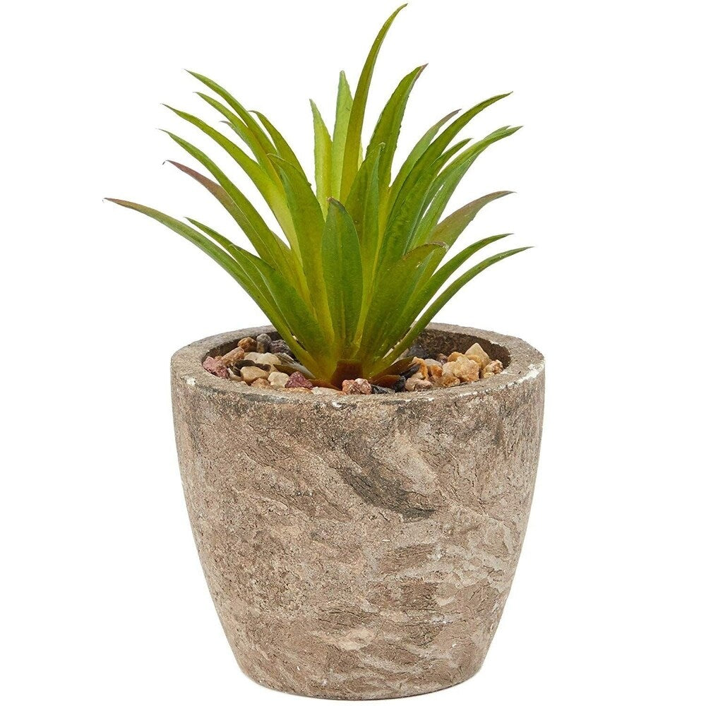 6 Pack Artificial Succulents, 2.7 to 4 inches Green and Red Cactus Plants with Gray Pots - 2.7 to 4 inches