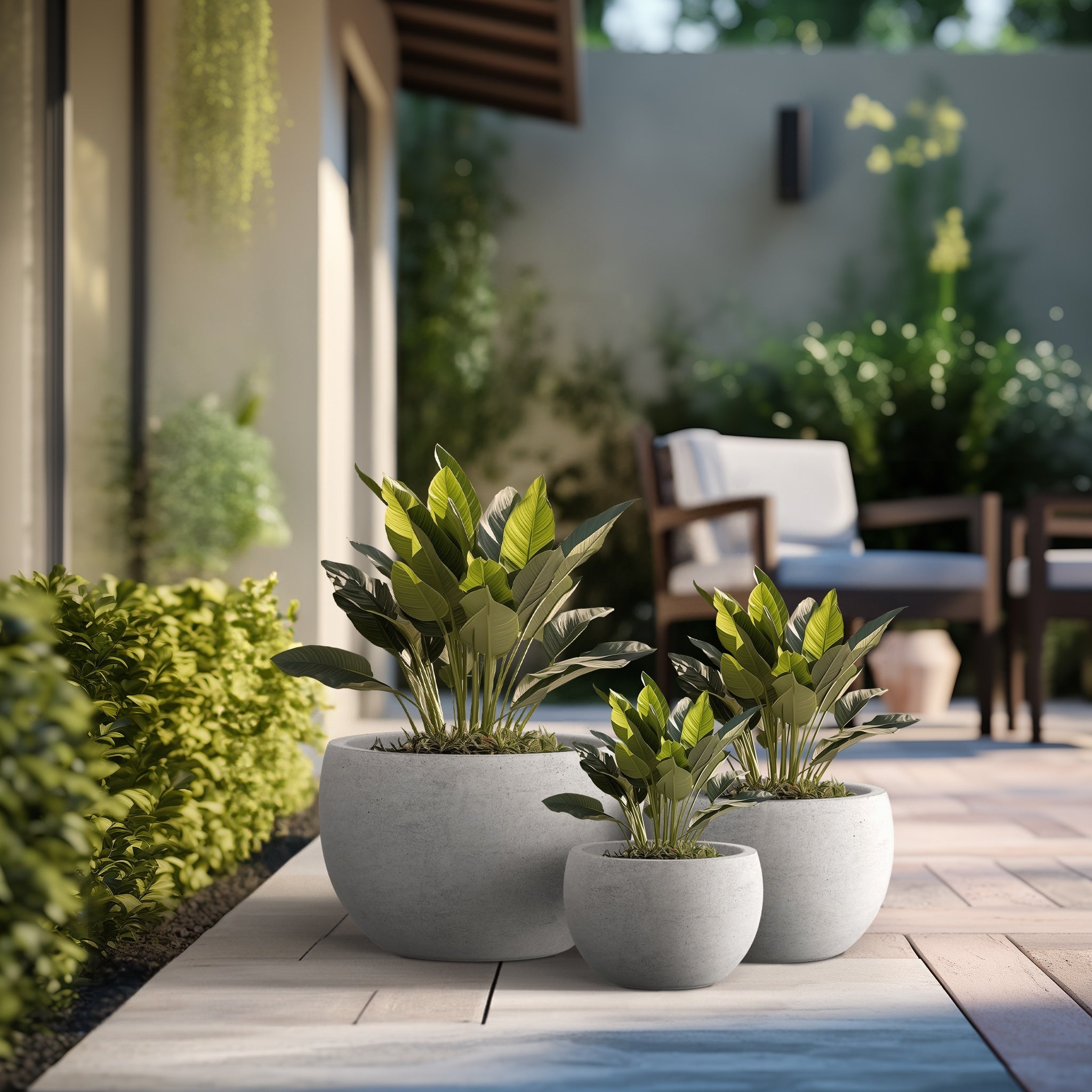 Tall Concrete Round Plant Pots / Large Indoor and Outdoor flower Planters