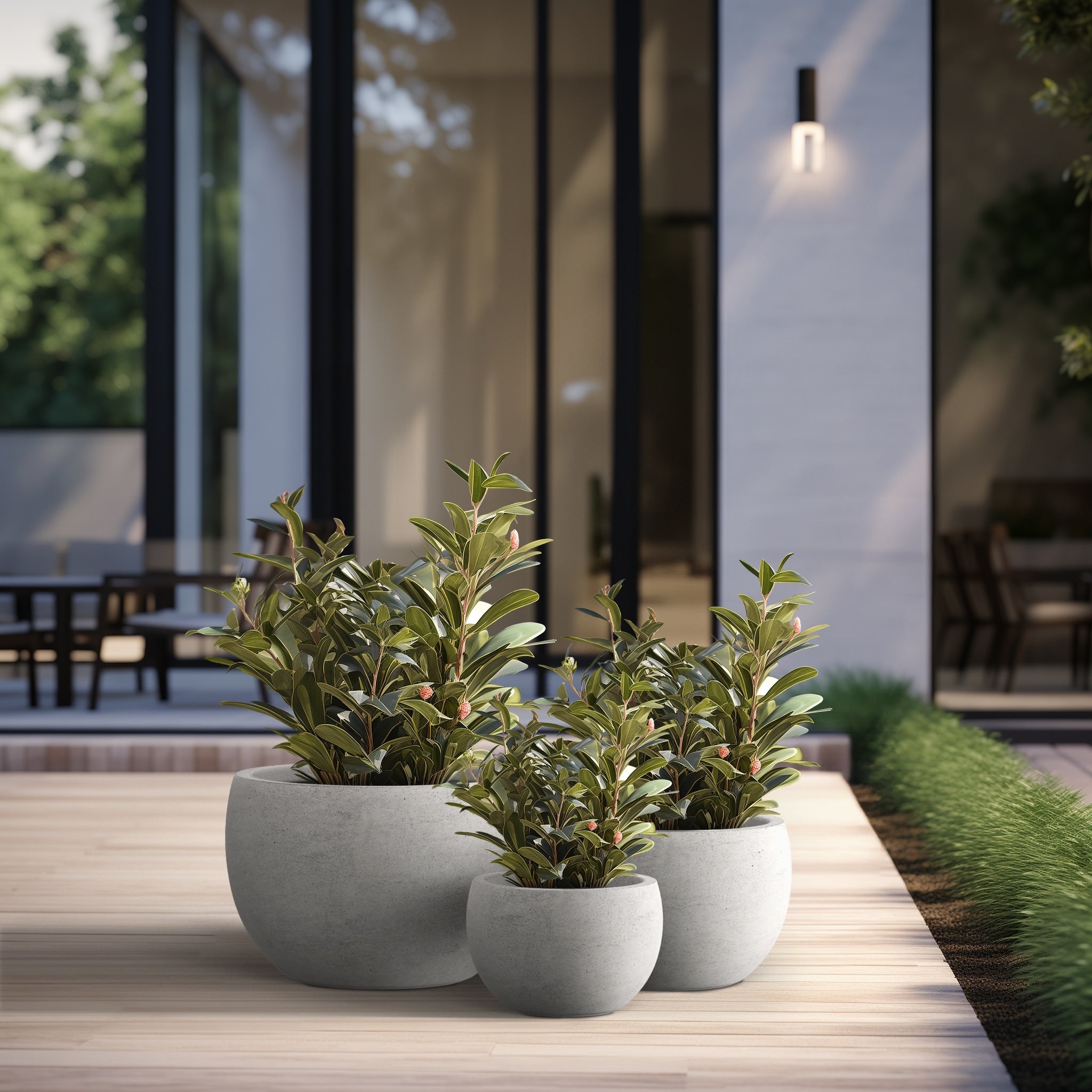 Tall Concrete Round Plant Pots / Large Indoor and Outdoor flower Planters