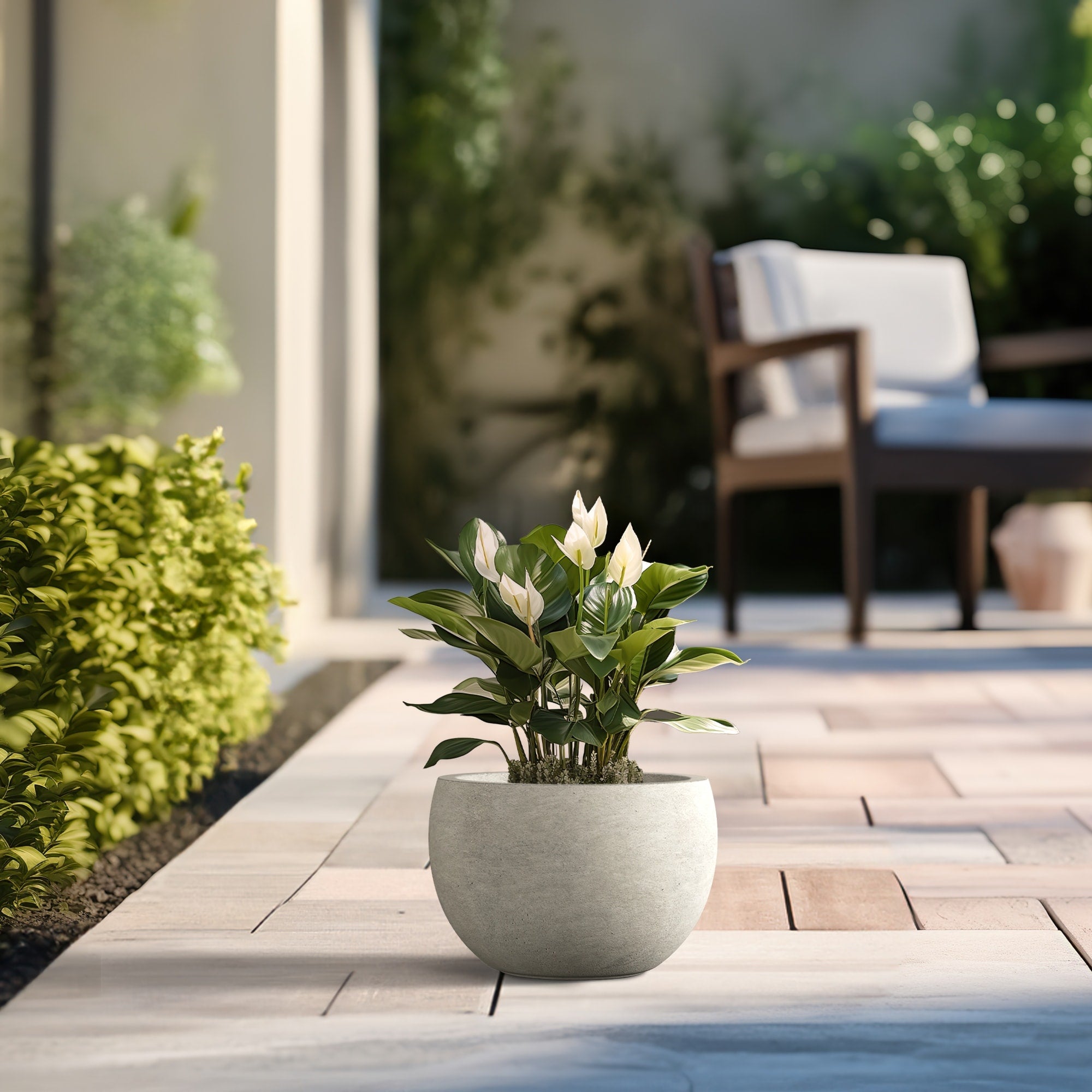 Tall Concrete Round Plant Pots / Large Indoor and Outdoor flower Planters