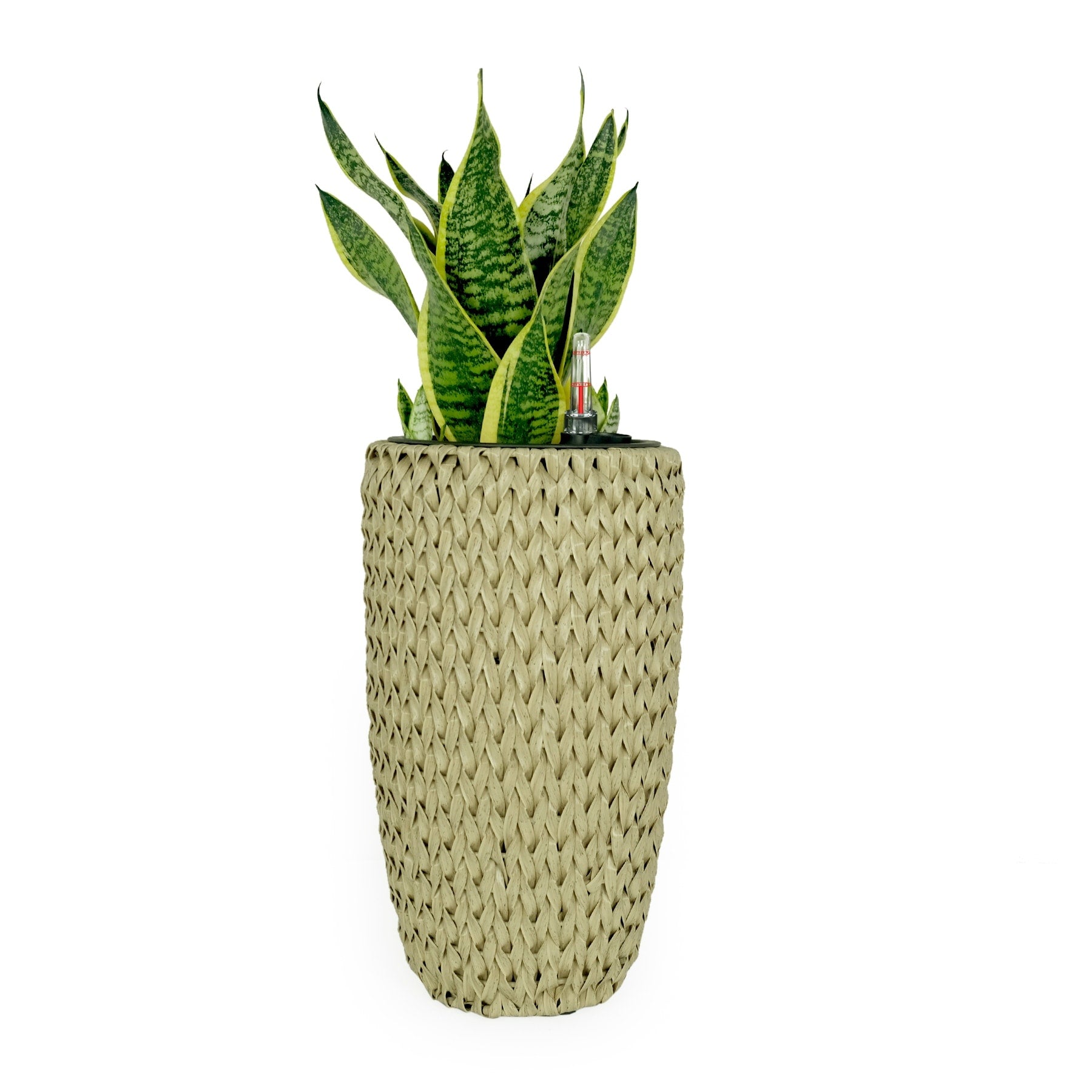 DTY Signature Self-watering Wicker Planter - Garden Decoration Pot