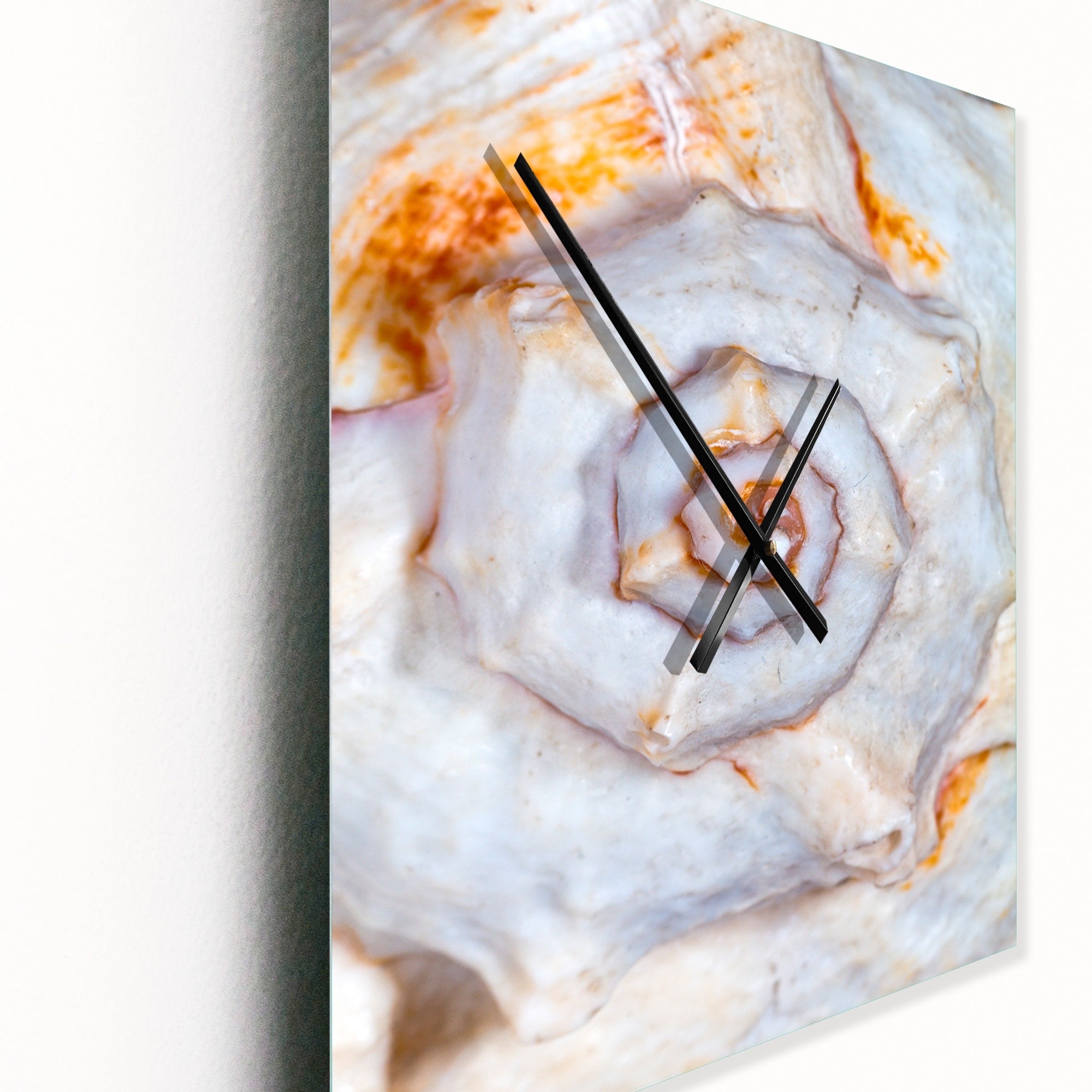 Designart 'Great Skeleton of Sea Shell' Modern Large Wall Clock