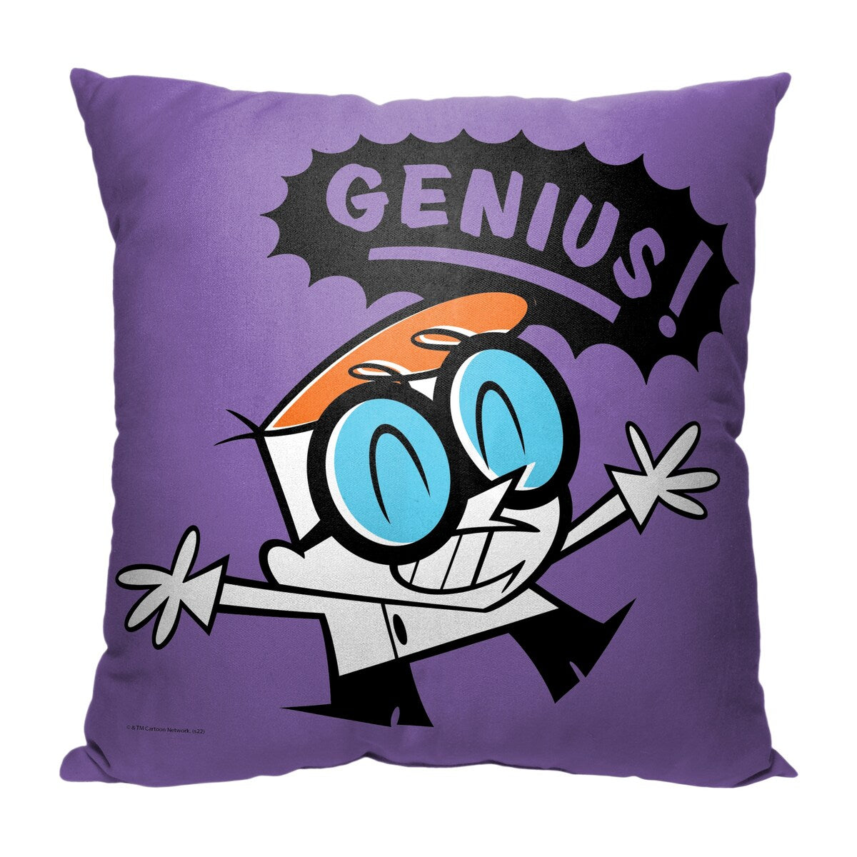 Cartoon Network Dexter's Laboratory Boy Genius 18 Inch Throw Pillow