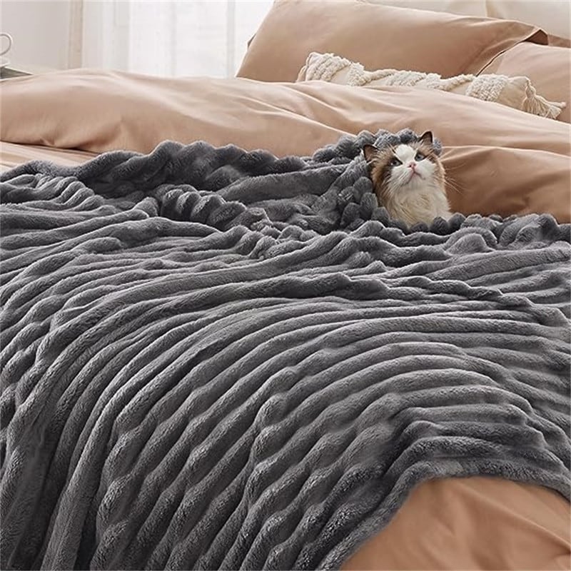 Blanket for Couch