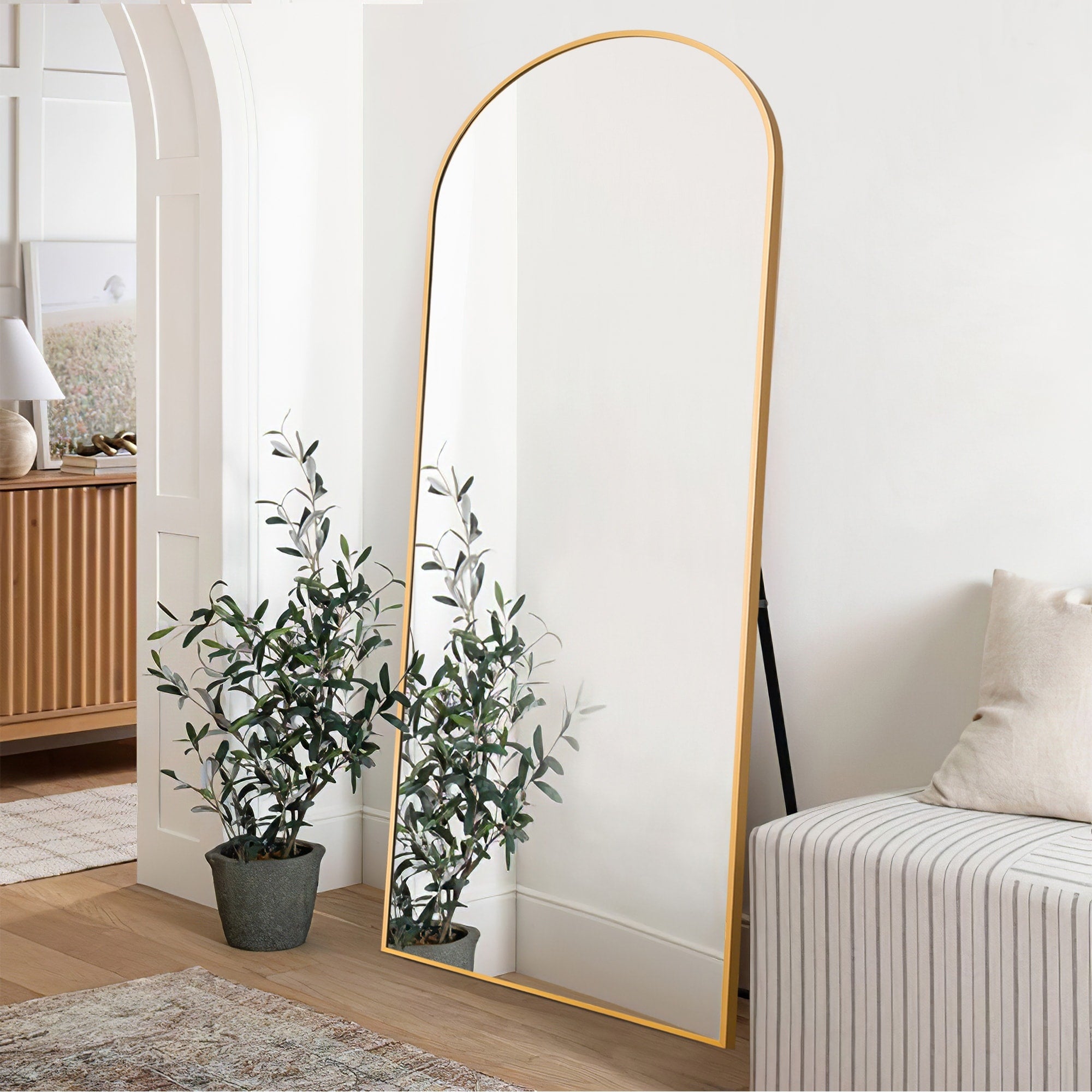 Arched Metal Full-length Standing Floor Mirror