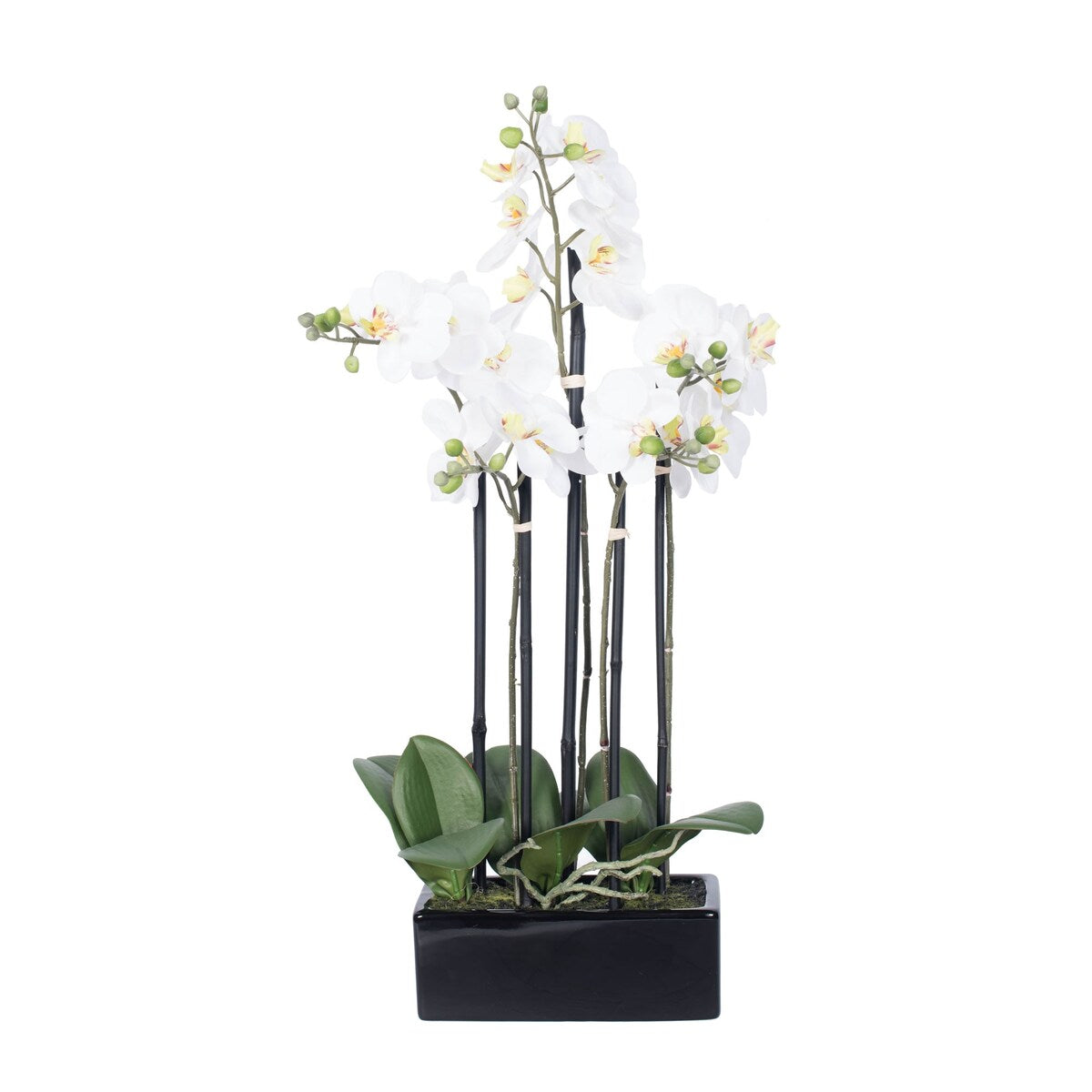 Vickerman 21 White Orchid Floral Arrangement