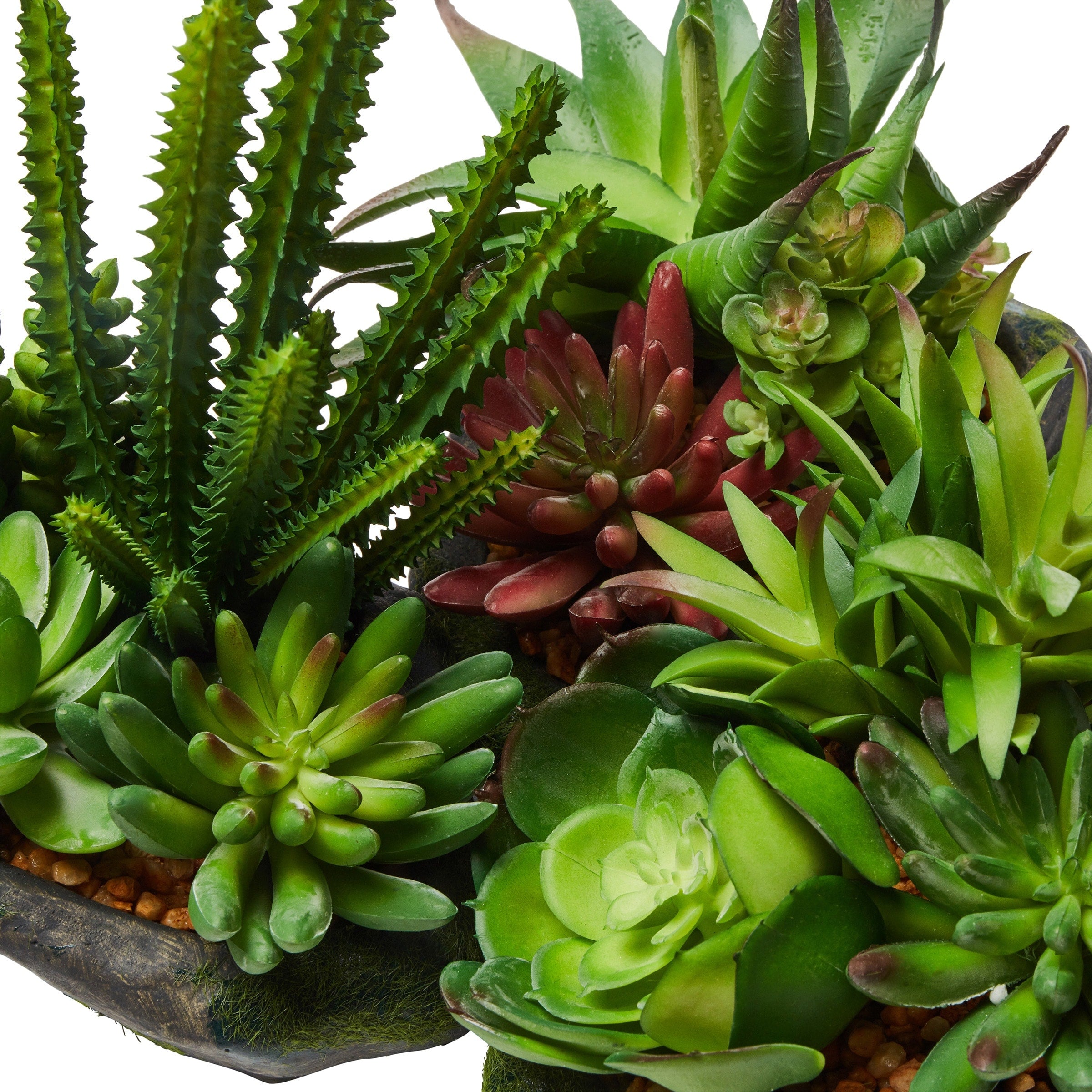 Pure Garden 3-Piece Artificial Succulent Plant Set - Set of 3