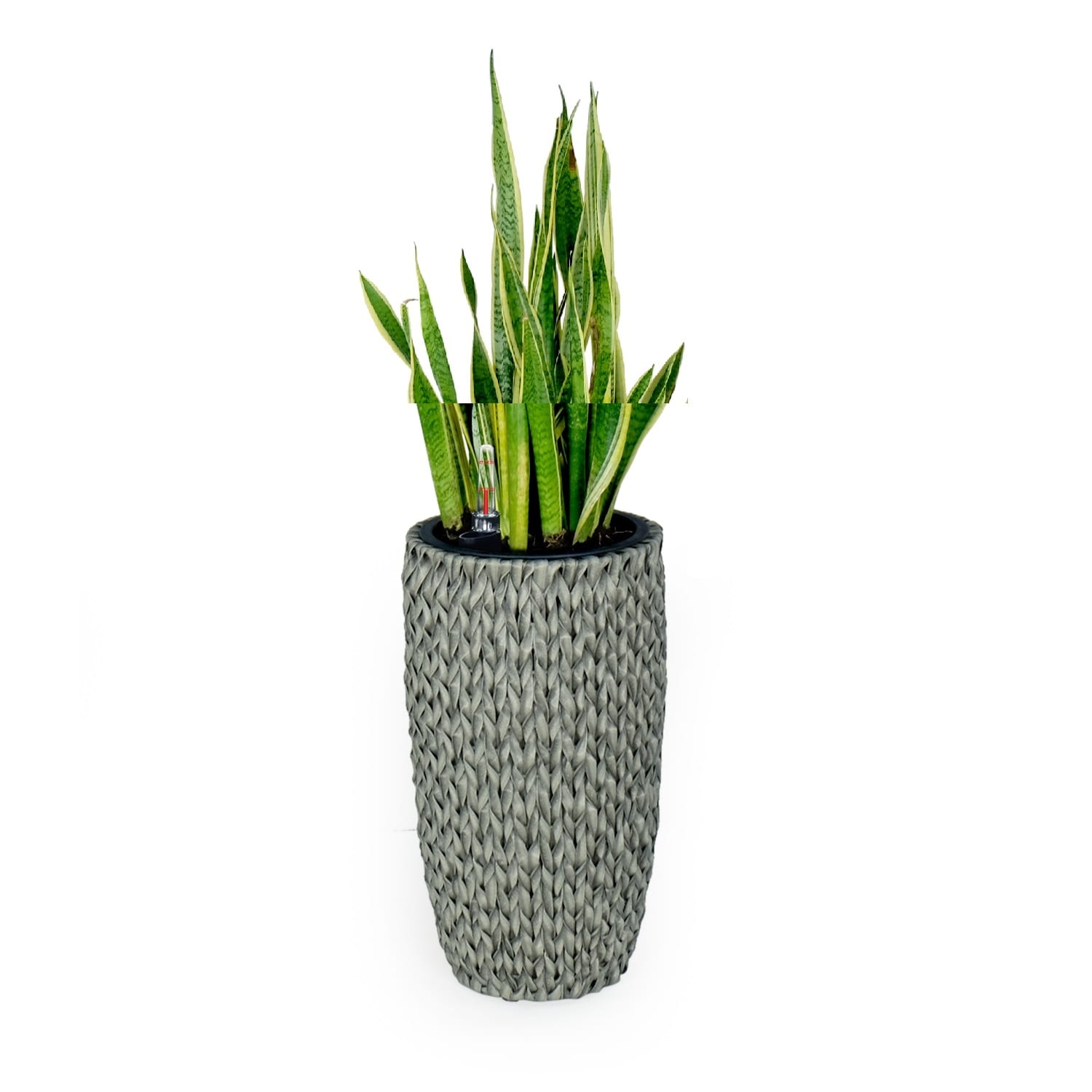 DTY Signature Self-watering Wicker Planter - Garden Decoration Pot