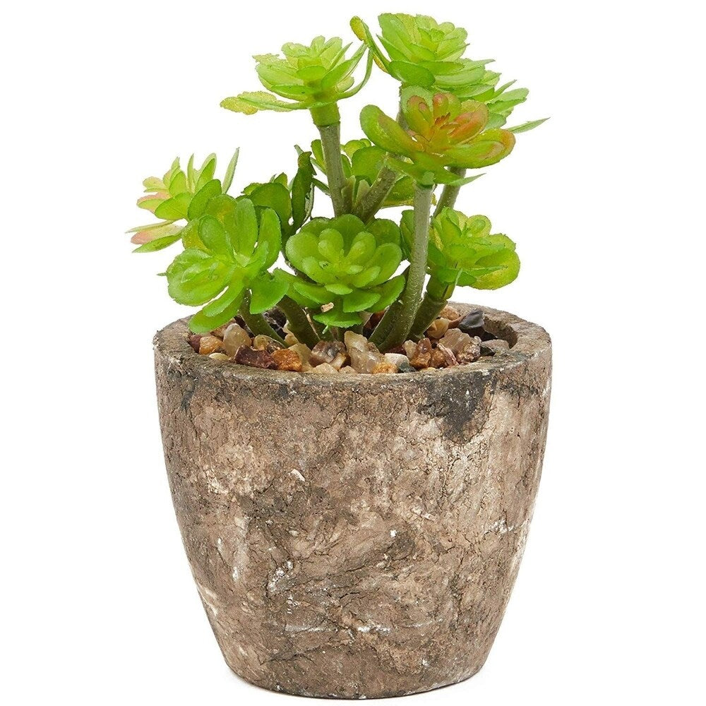 6 Pack Artificial Succulents, 2.7 to 4 inches Green and Red Cactus Plants with Gray Pots - 2.7 to 4 inches