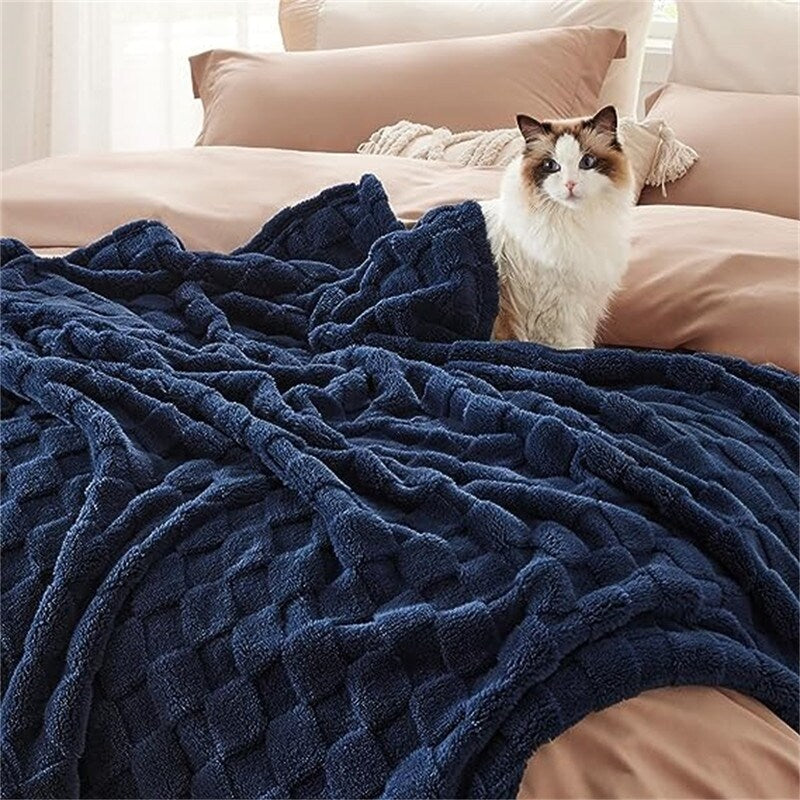 Blanket for Couch