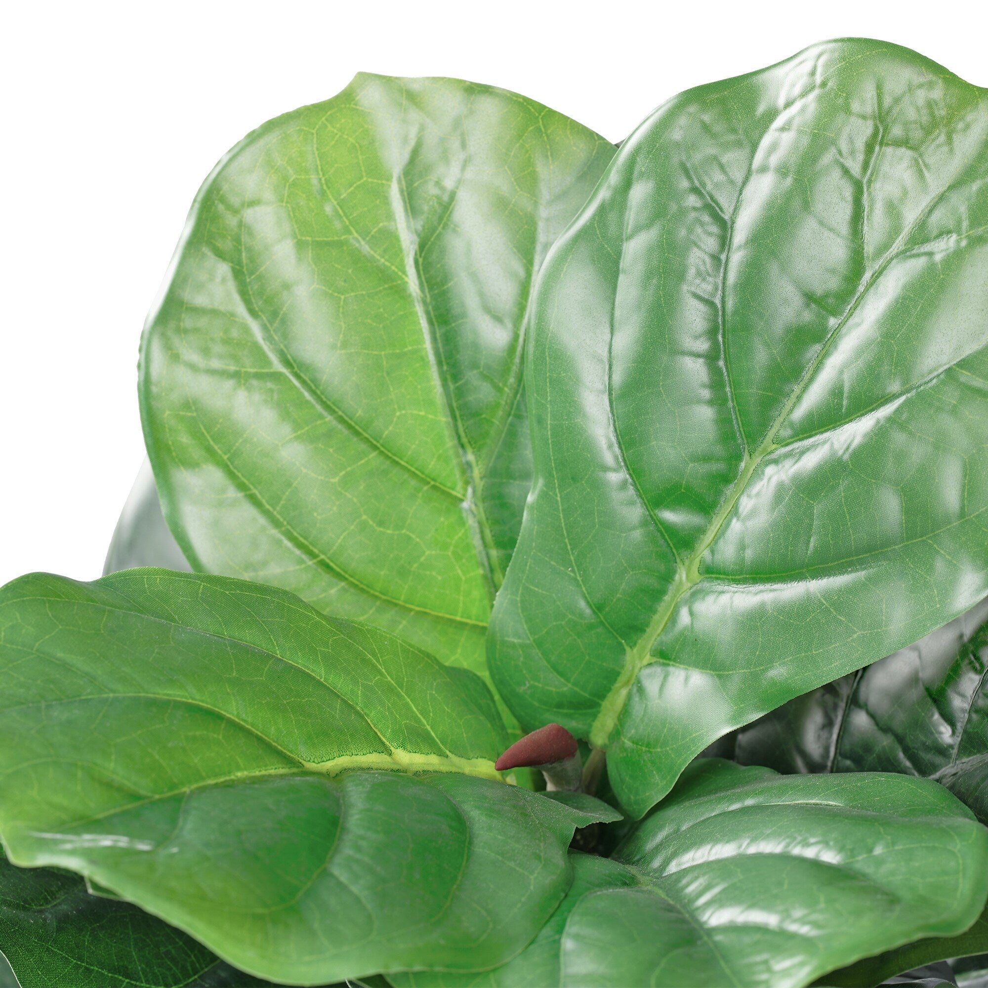 51 Fiddle Leaf Fig Artificial Plant Tree In Pot