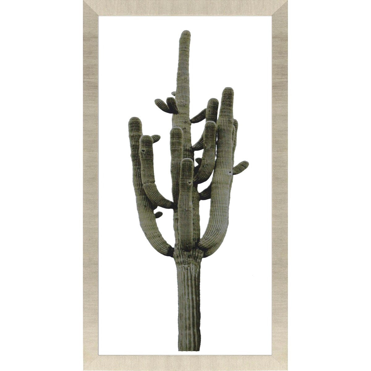 Saguaro II Framed Art Giclee Under Glass - Green