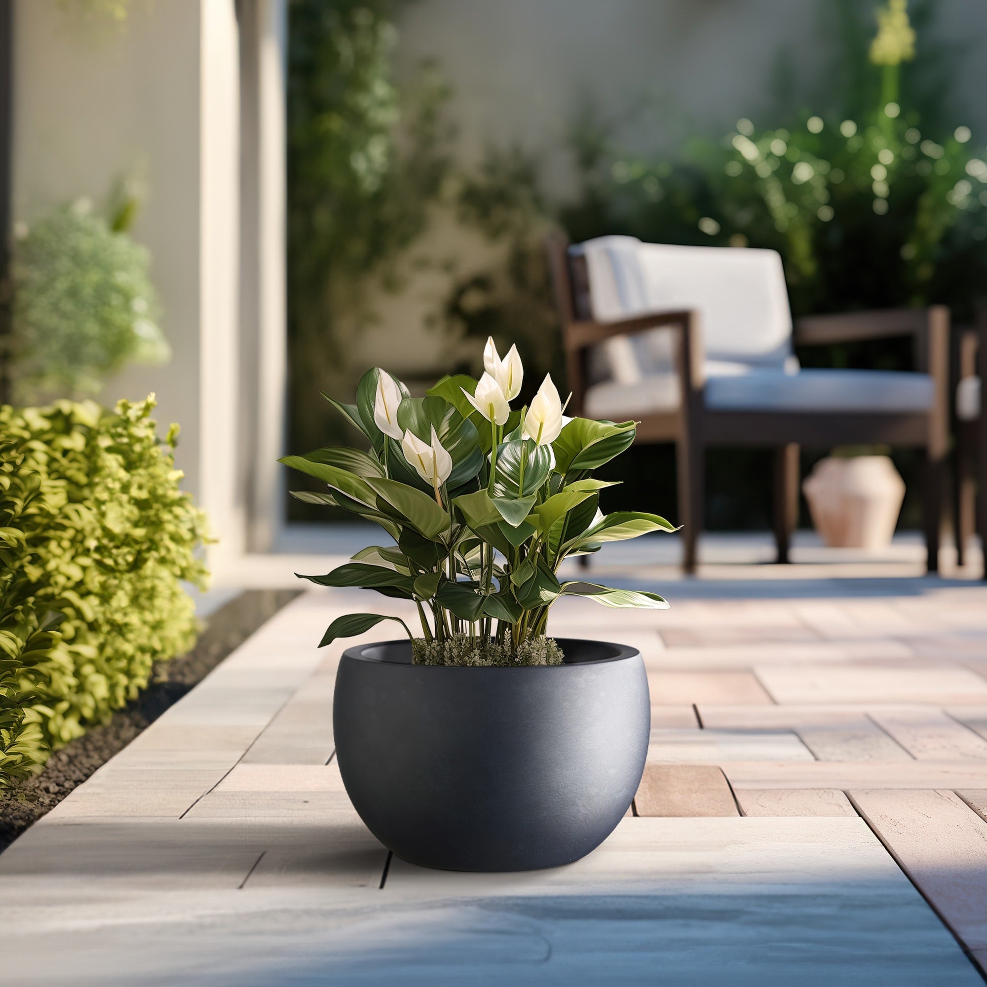 Tall Concrete Round Plant Pots / Large Indoor and Outdoor flower Planters