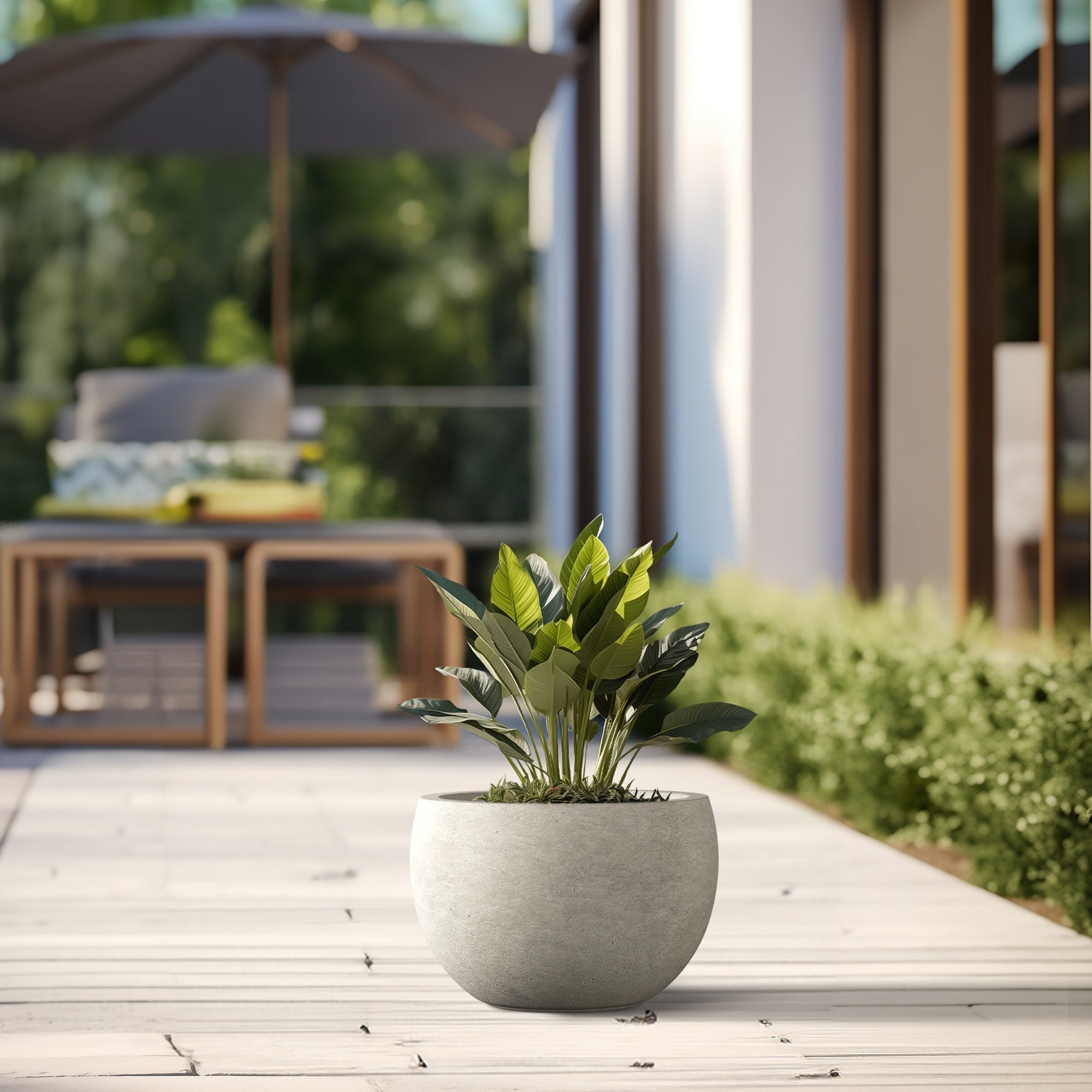 Tall Concrete Round Plant Pots / Large Indoor and Outdoor flower Planters