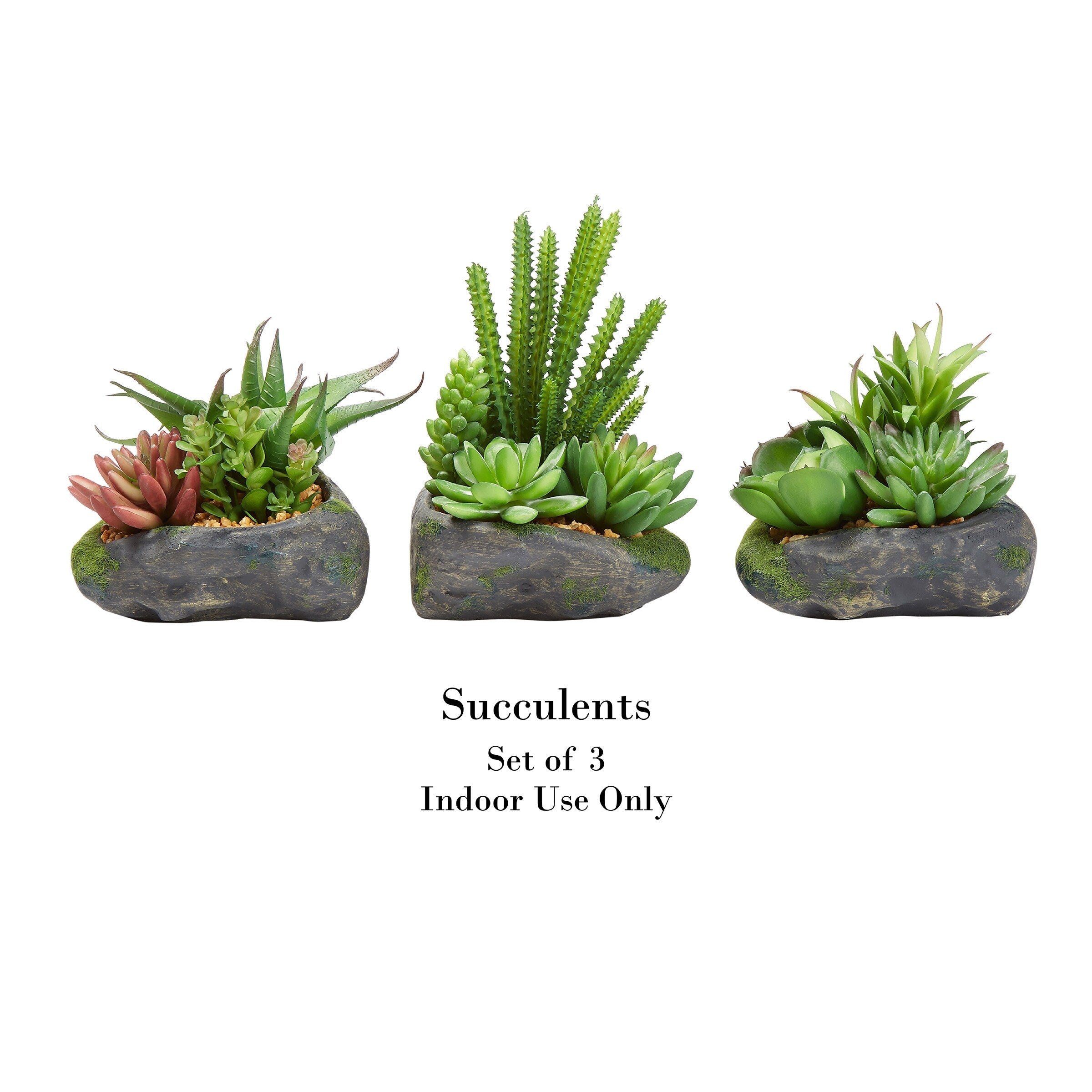 Pure Garden 3-Piece Artificial Succulent Plant Set - Set of 3