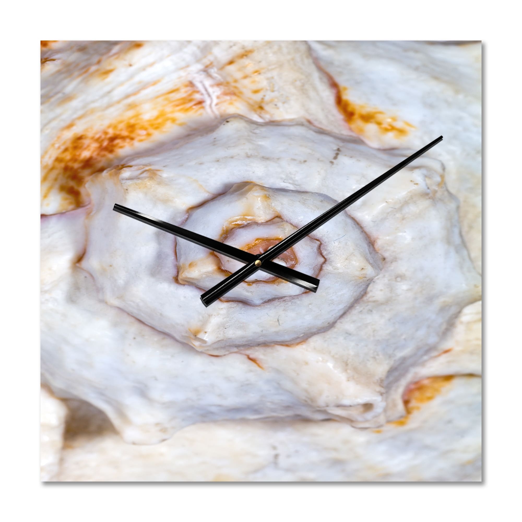 Designart 'Great Skeleton of Sea Shell' Modern Large Wall Clock