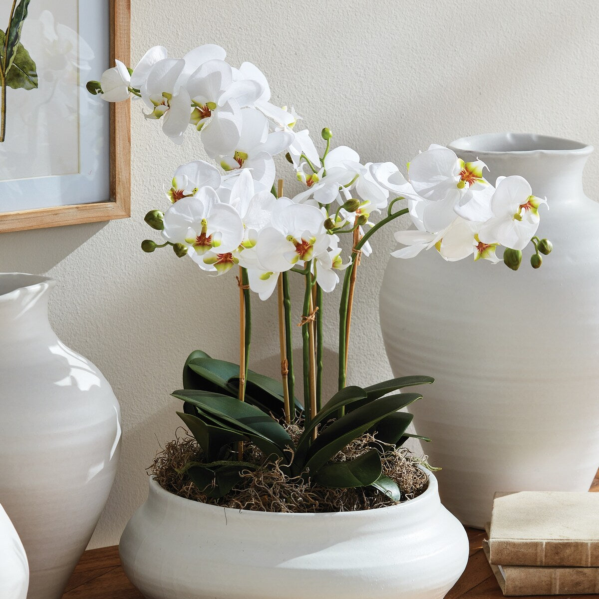 Phalaenopsis Orchid Bowl Drop-In