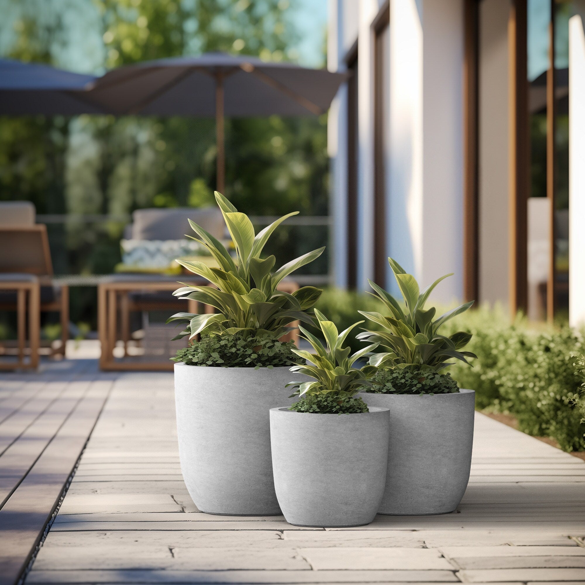 Tall Concrete Round Plant Pots / Large Indoor and Outdoor flower Planters