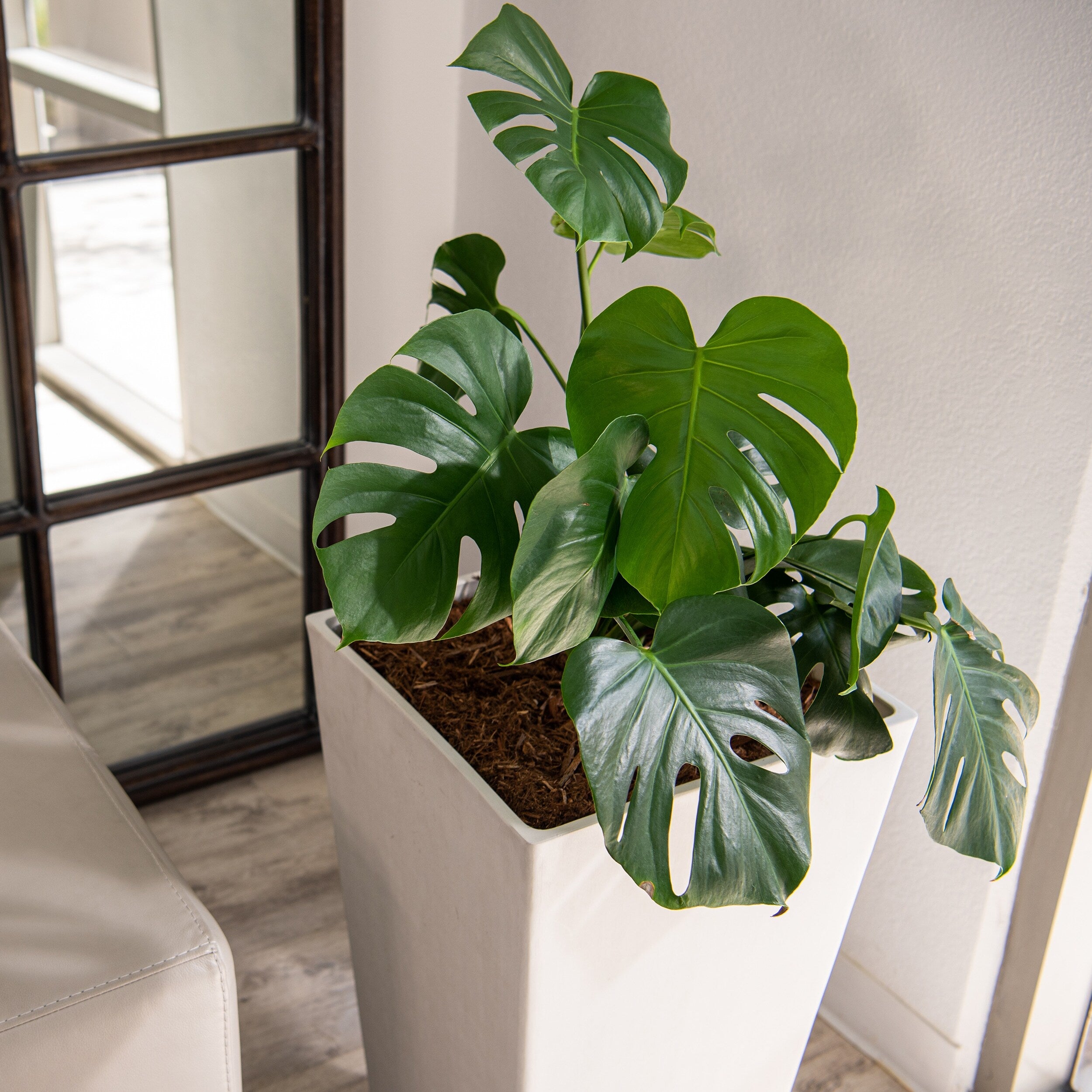 XBrand Modern 30-Inch Tall Modern Square Tapered Planter, Indoor & Outdoor