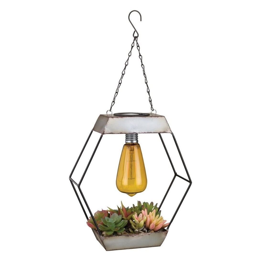 Edison Succulent Solar Lantern - Diamond