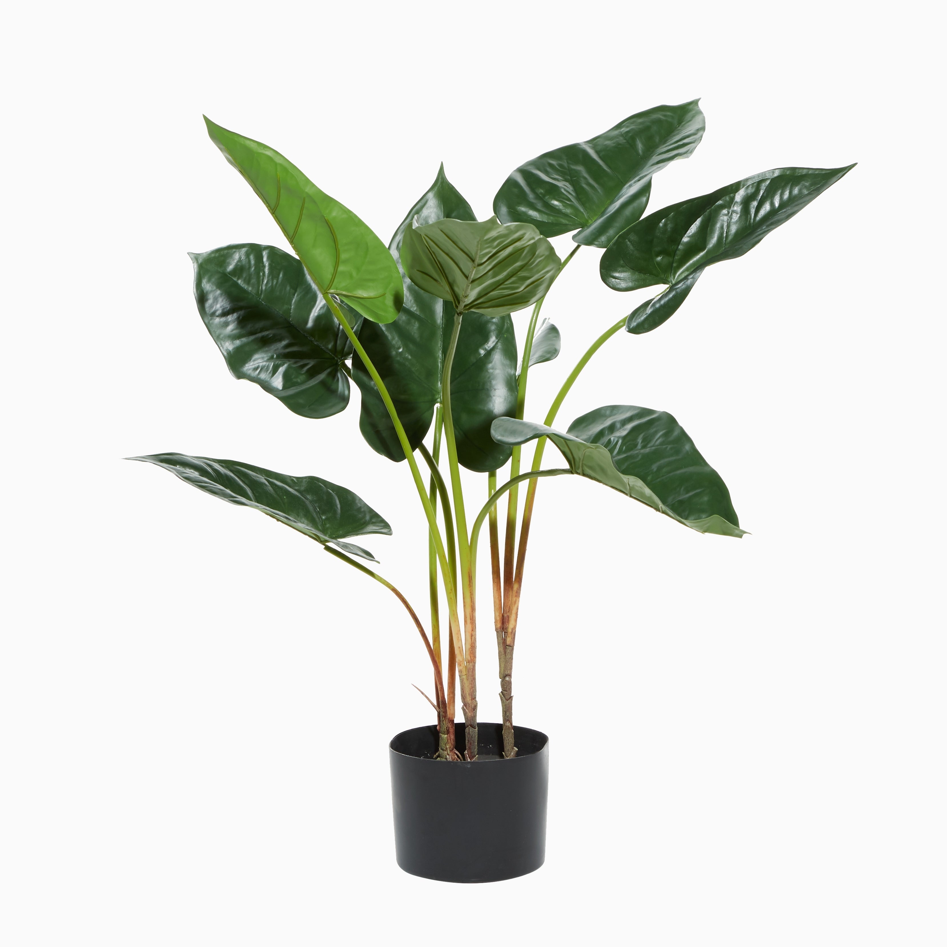 Traditional Green Tropical Faux Foliage Decorative Potted Tree