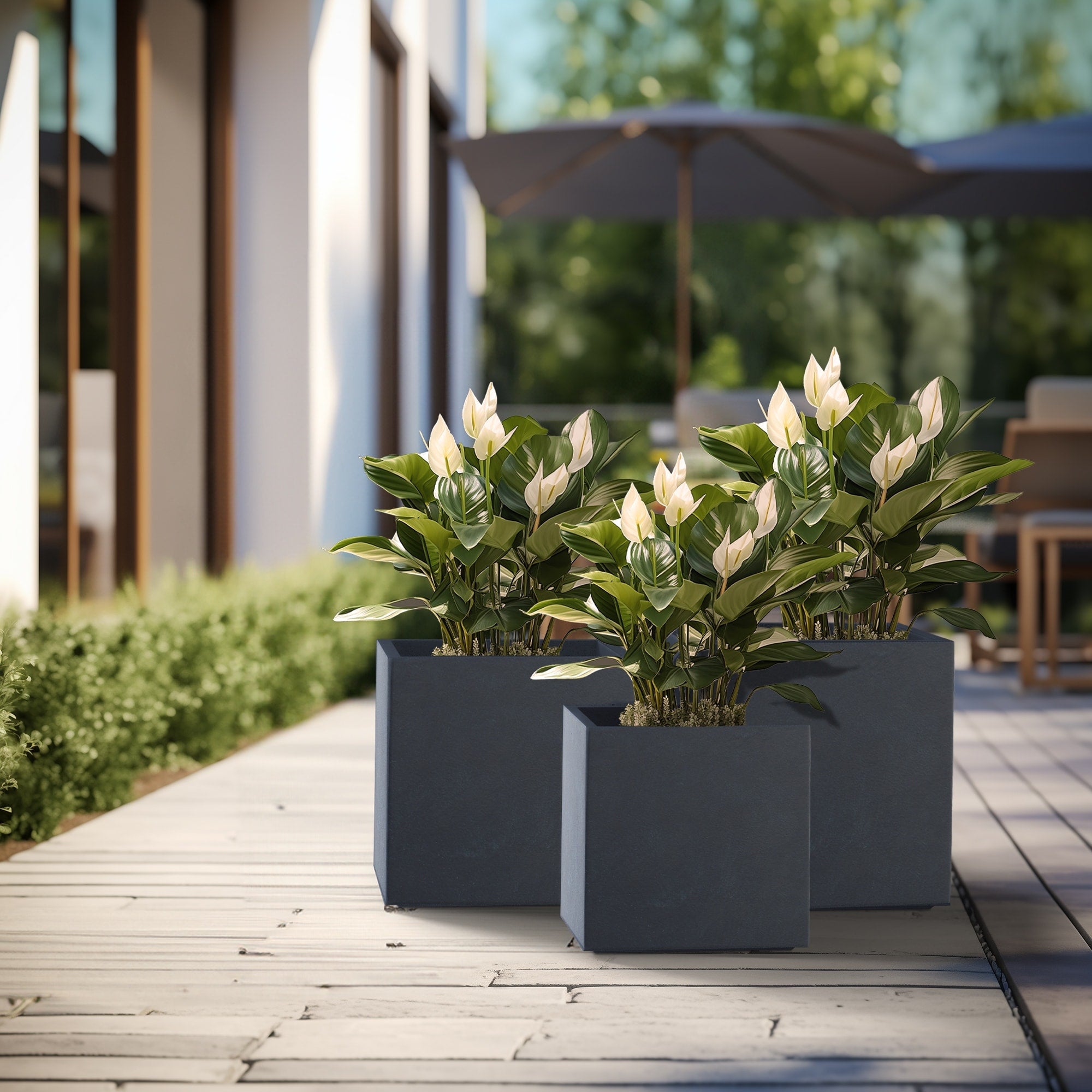 Tall Concrete Square Plant boxes / Large Indoor and Outdoor flower Planters